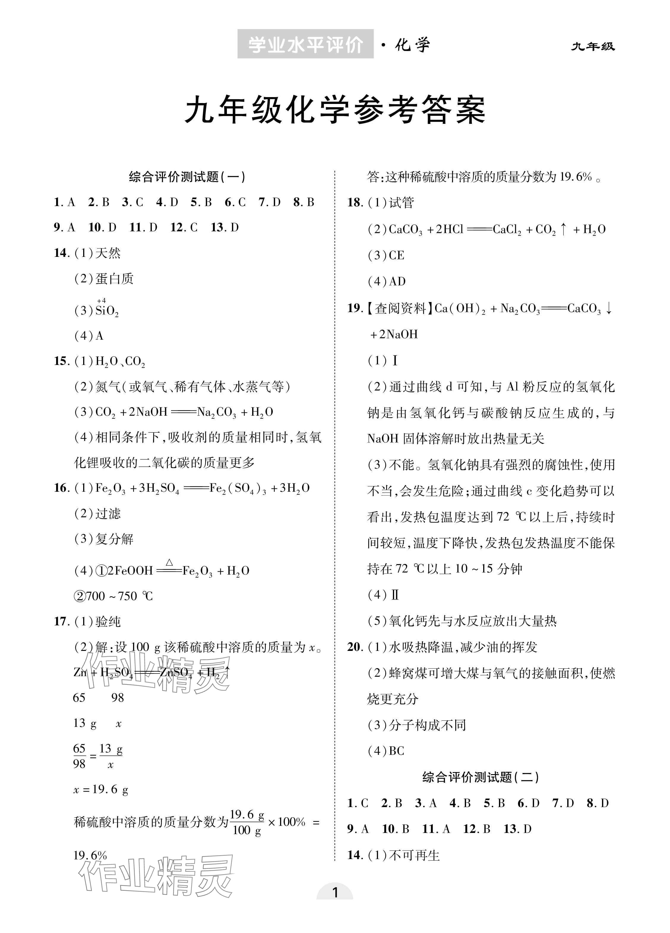 2025年學業水平評價九年級化學下冊人教版 參考答案第1頁