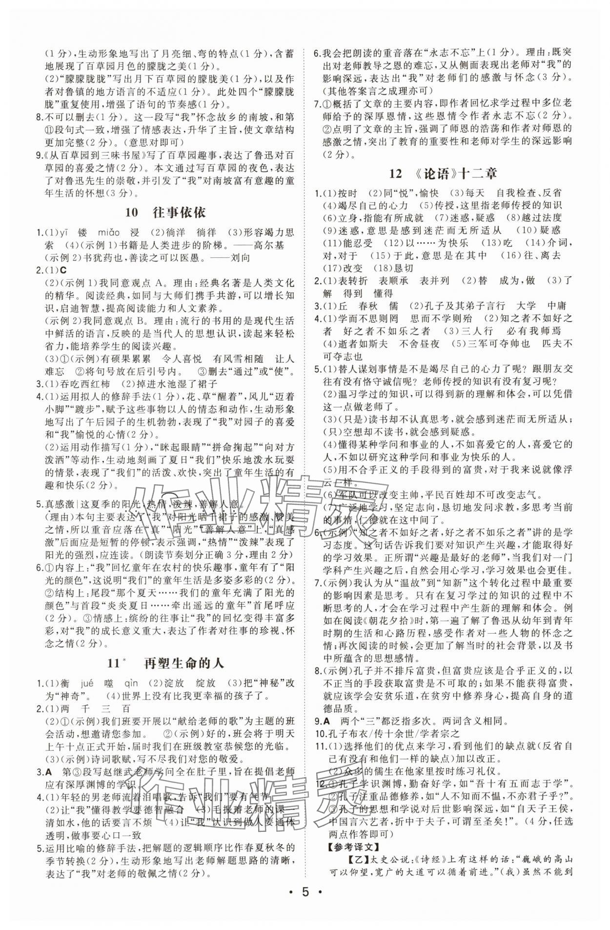 2025年一本同步训练七年级语文上册人教版安徽专版 第5页