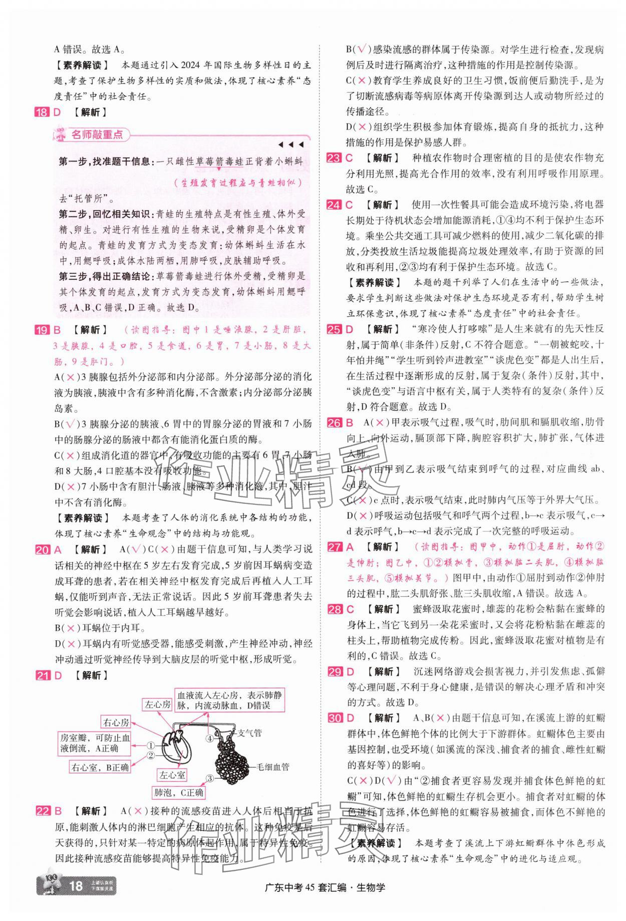 2025年金考卷45套匯編生物廣東專版 第18頁