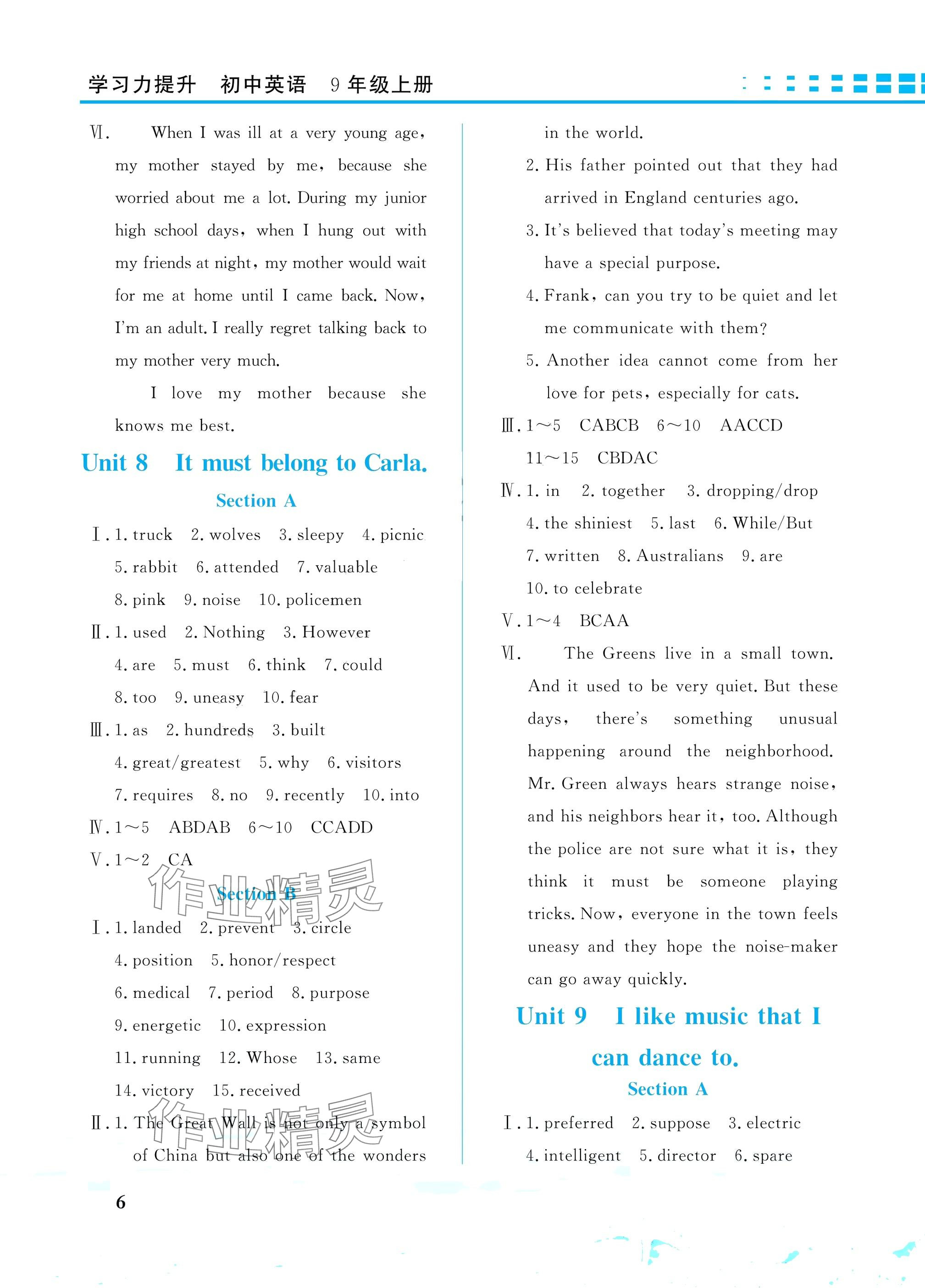 2024年學(xué)習(xí)力提升九年級英語上冊人教版 參考答案第6頁