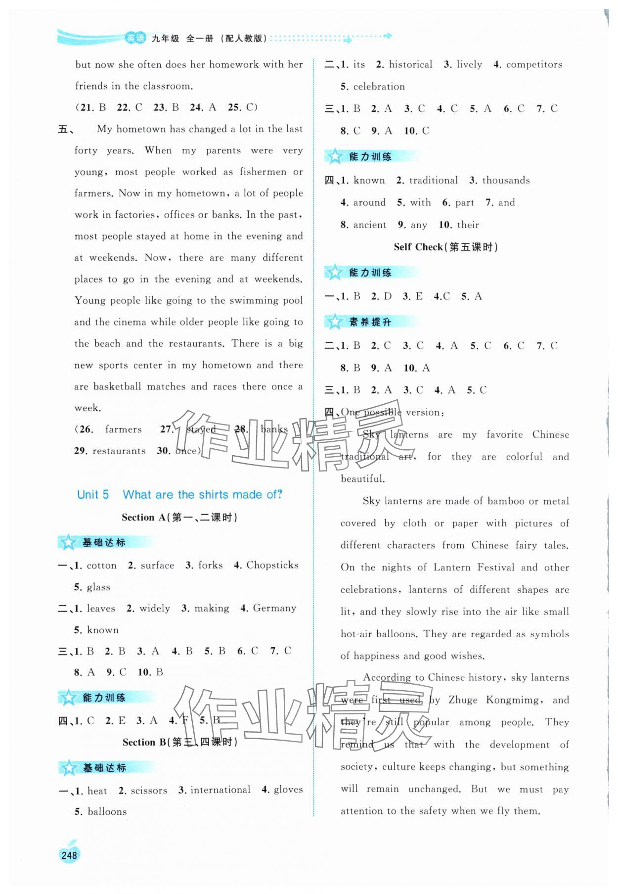 2024年新課程學(xué)習(xí)與測(cè)評(píng)同步學(xué)習(xí)九年級(jí)英語(yǔ)全一冊(cè)人教版 第10頁(yè)