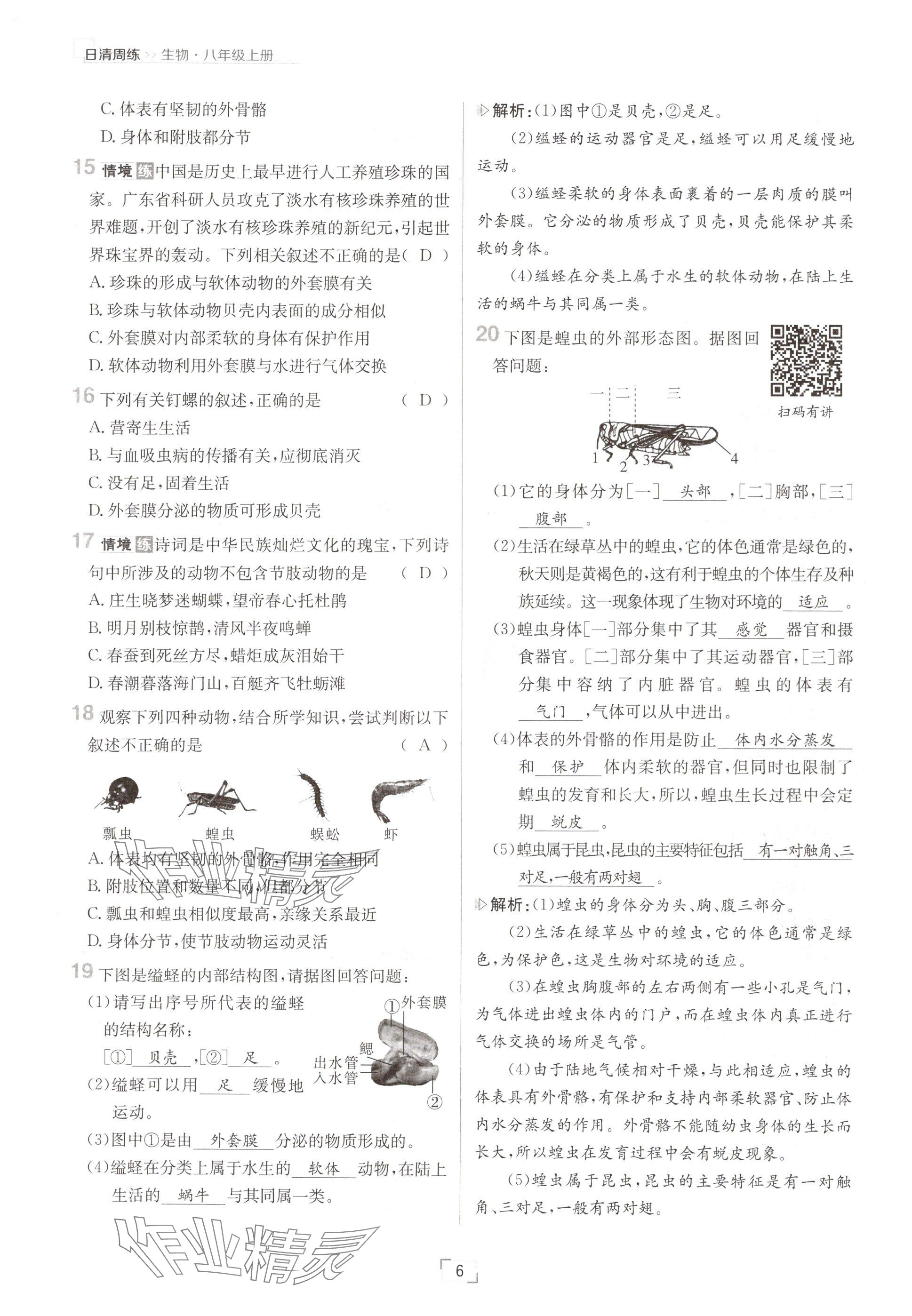 2024年日清周練八年級生物上冊人教版 參考答案第6頁