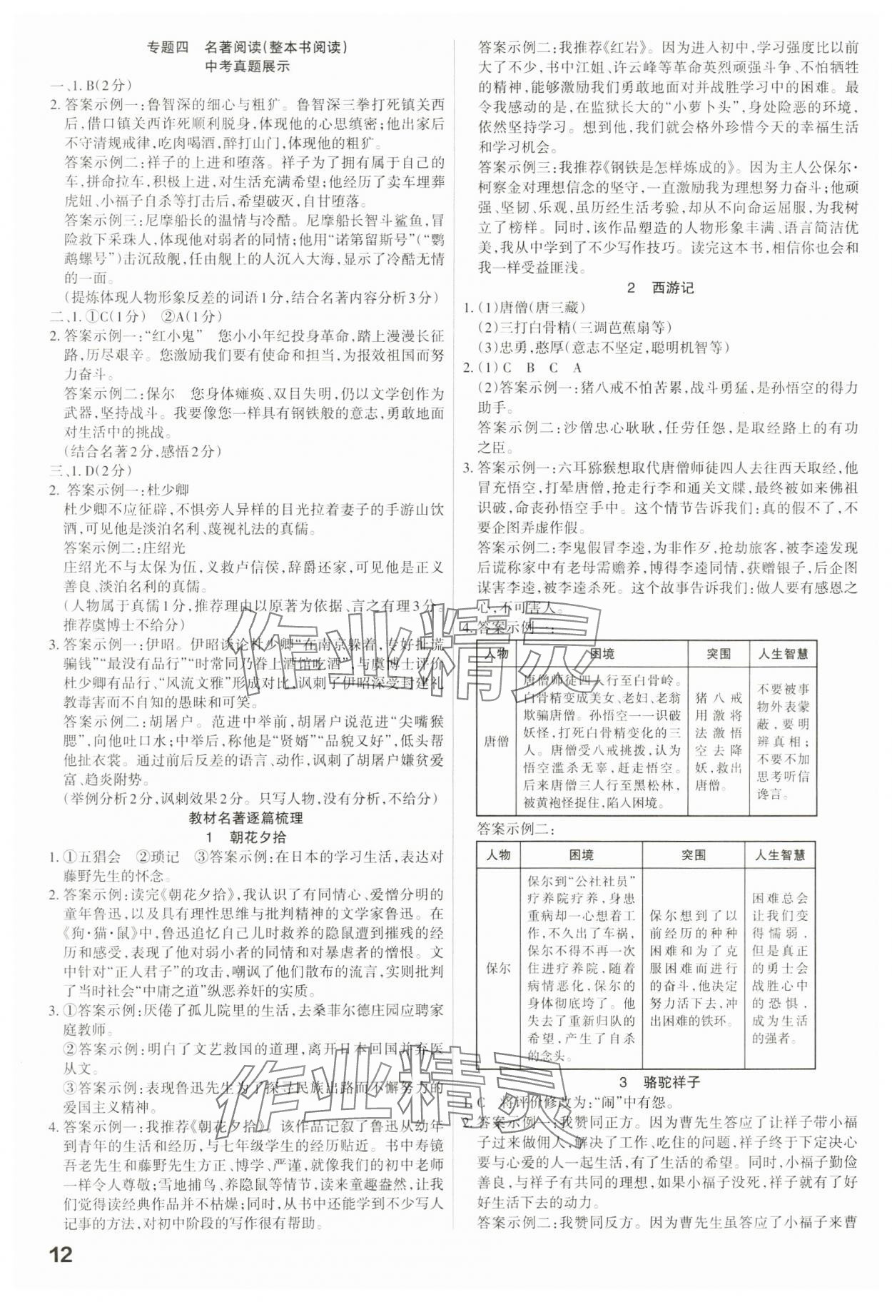 2024年滾動遷移中考總復習語文廣東專版 第12頁