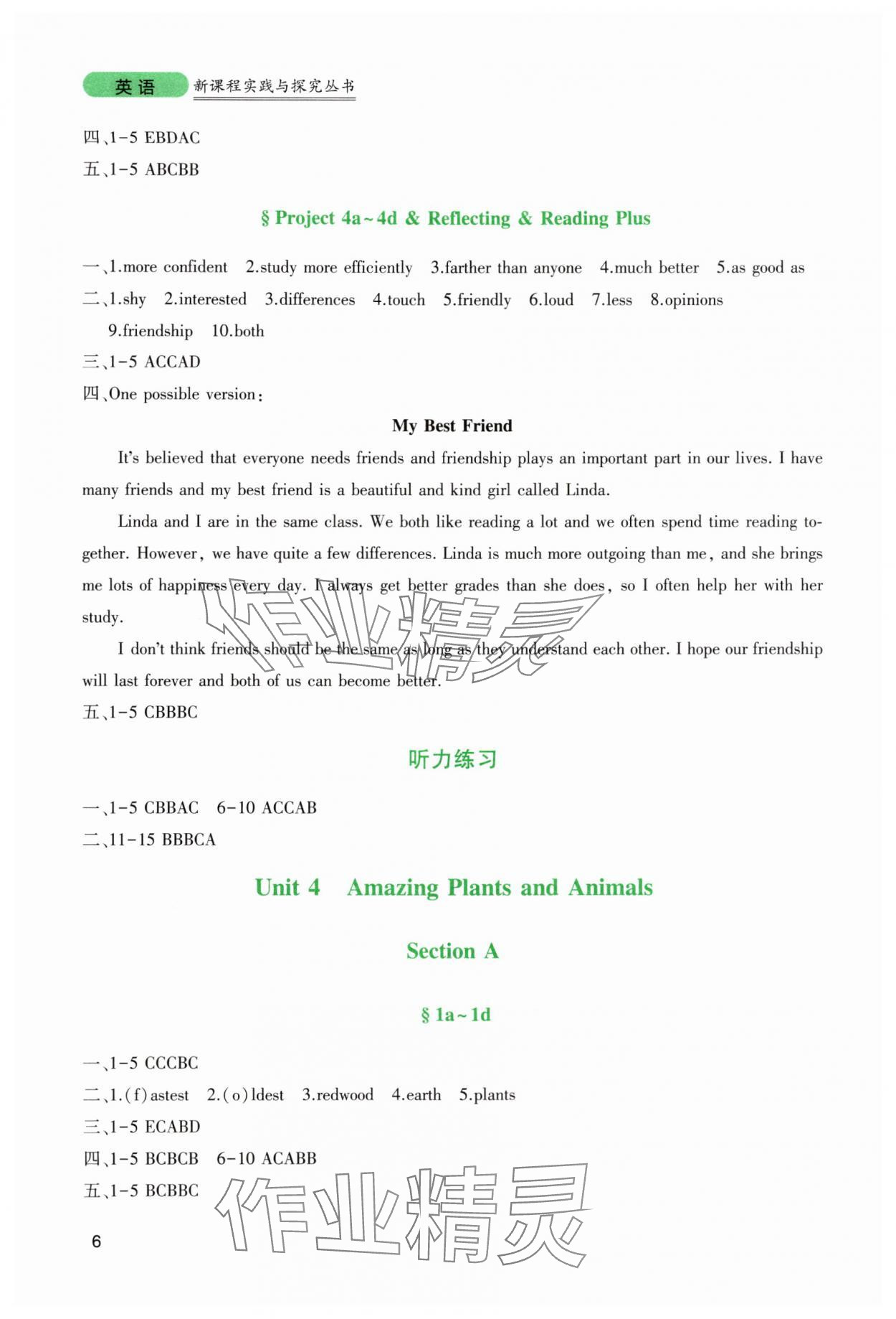2025年新课程实践与探究丛书八年级英语上册人教版 第6页