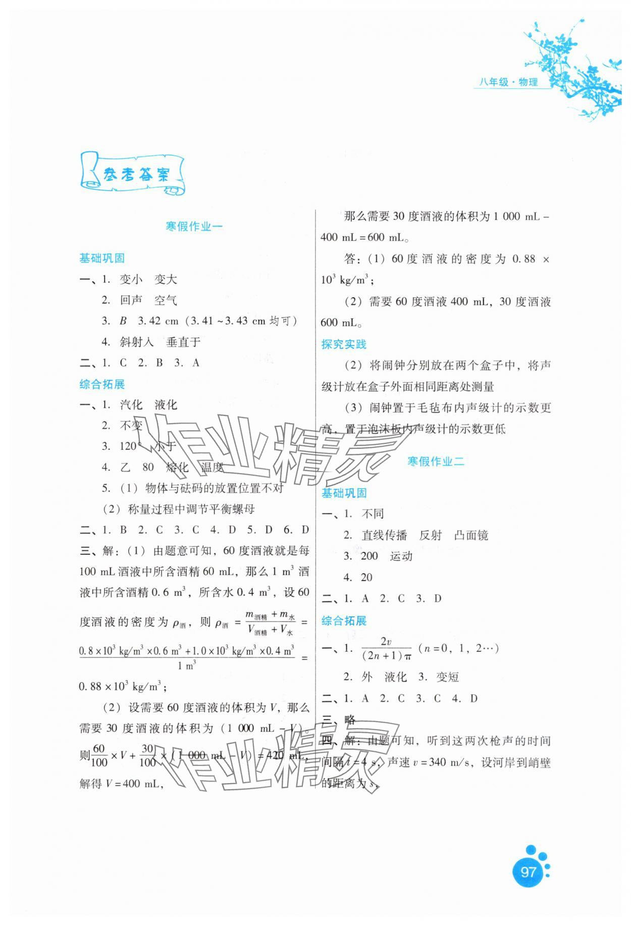 2025年寒假生活河北人民出版社八年級(jí)物理通用版 第1頁