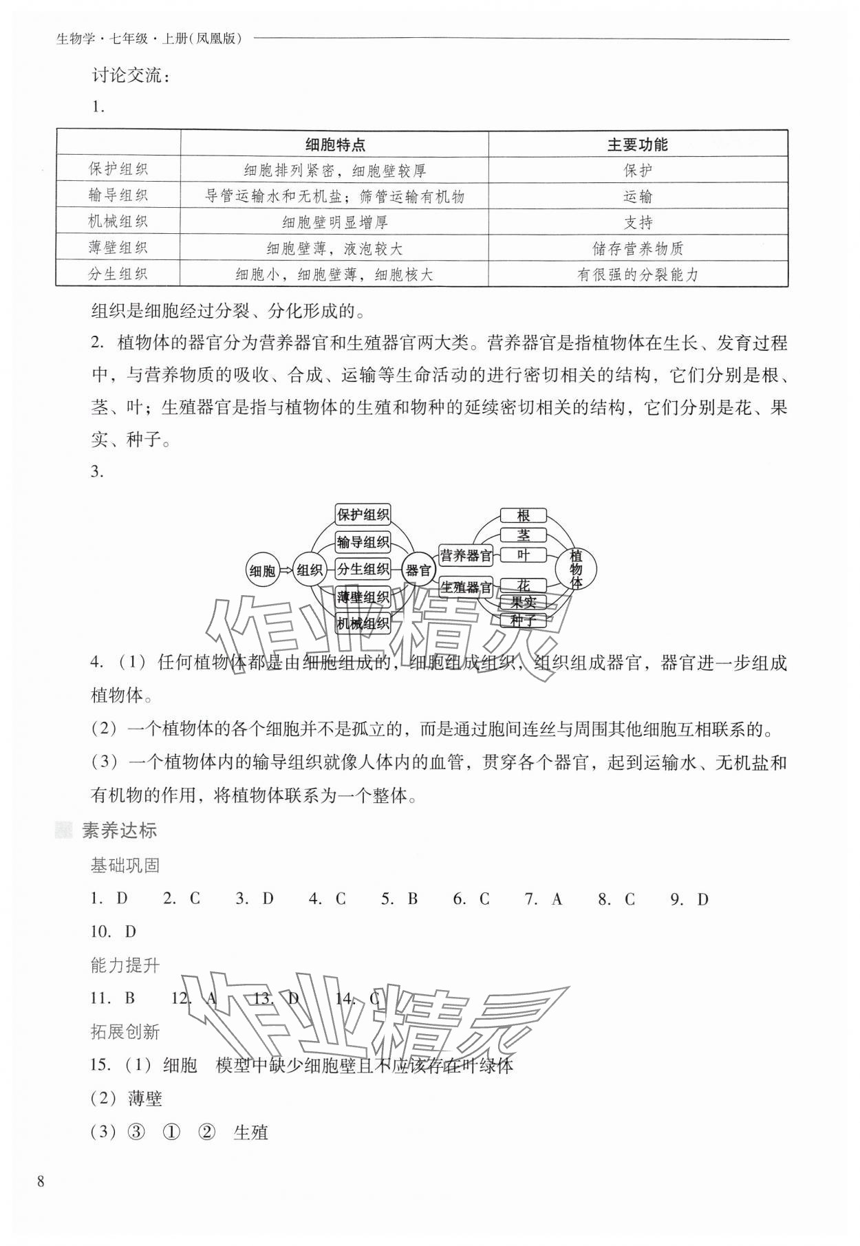 2024年新課程問題解決導學方案七年級生物上冊蘇教版 參考答案第8頁