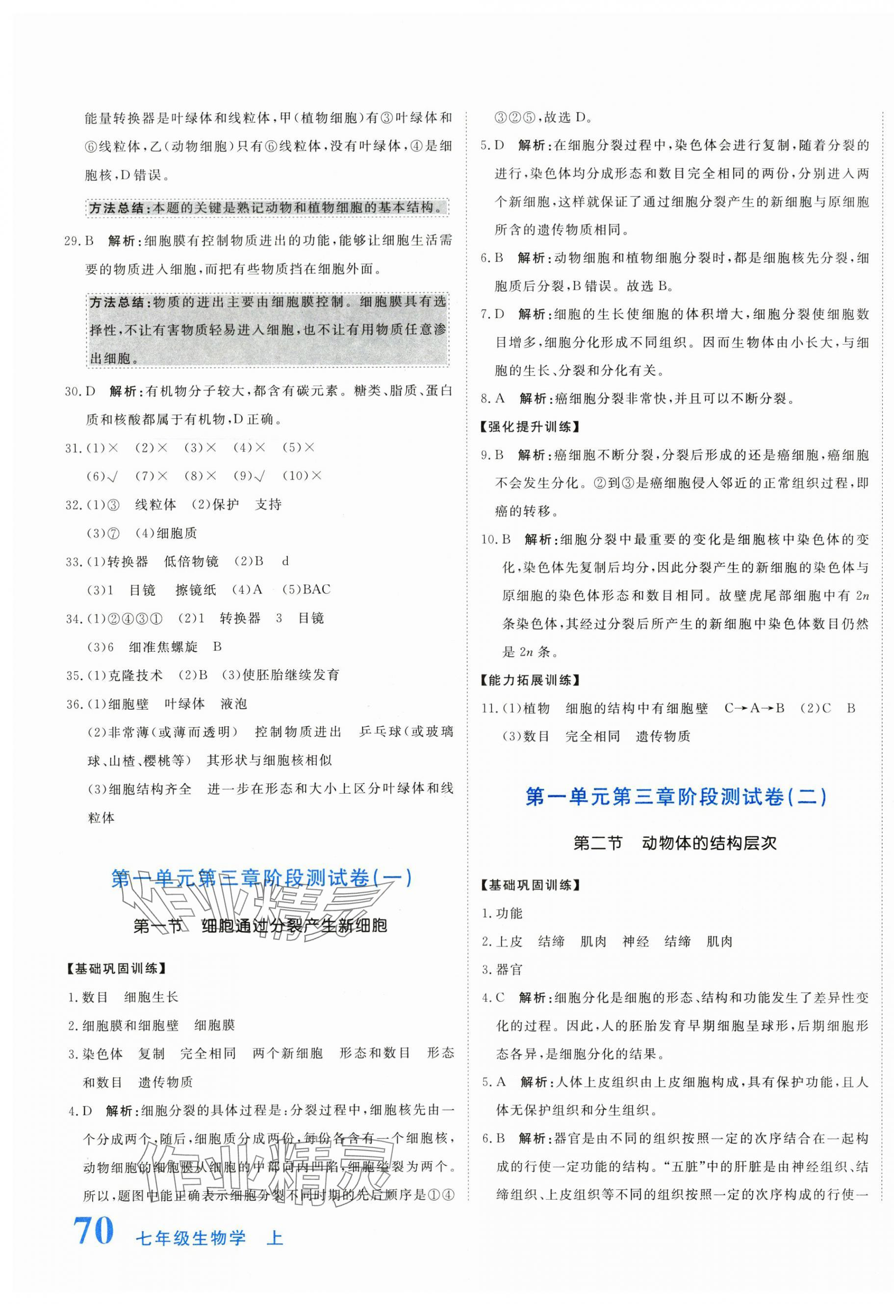 2025年新目标检测同步单元测试卷七年级生物上册人教版 第7页