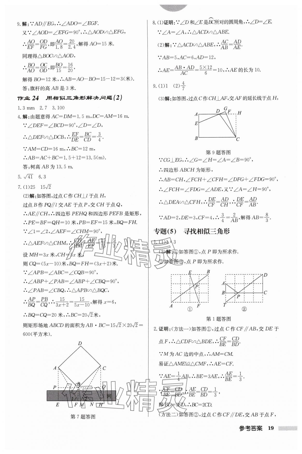 2024年启东中学作业本九年级数学下册苏科版盐城专版 参考答案第19页