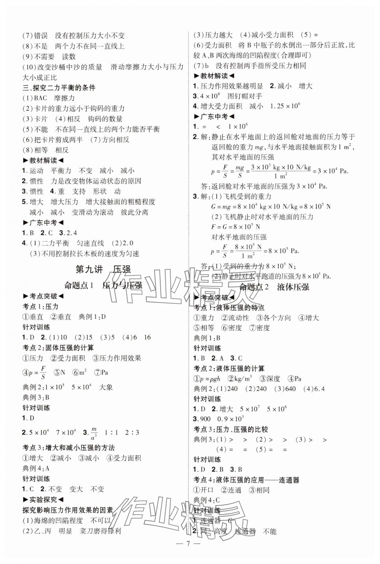 2025年中考沖刺物理廣東專版 第7頁(yè)