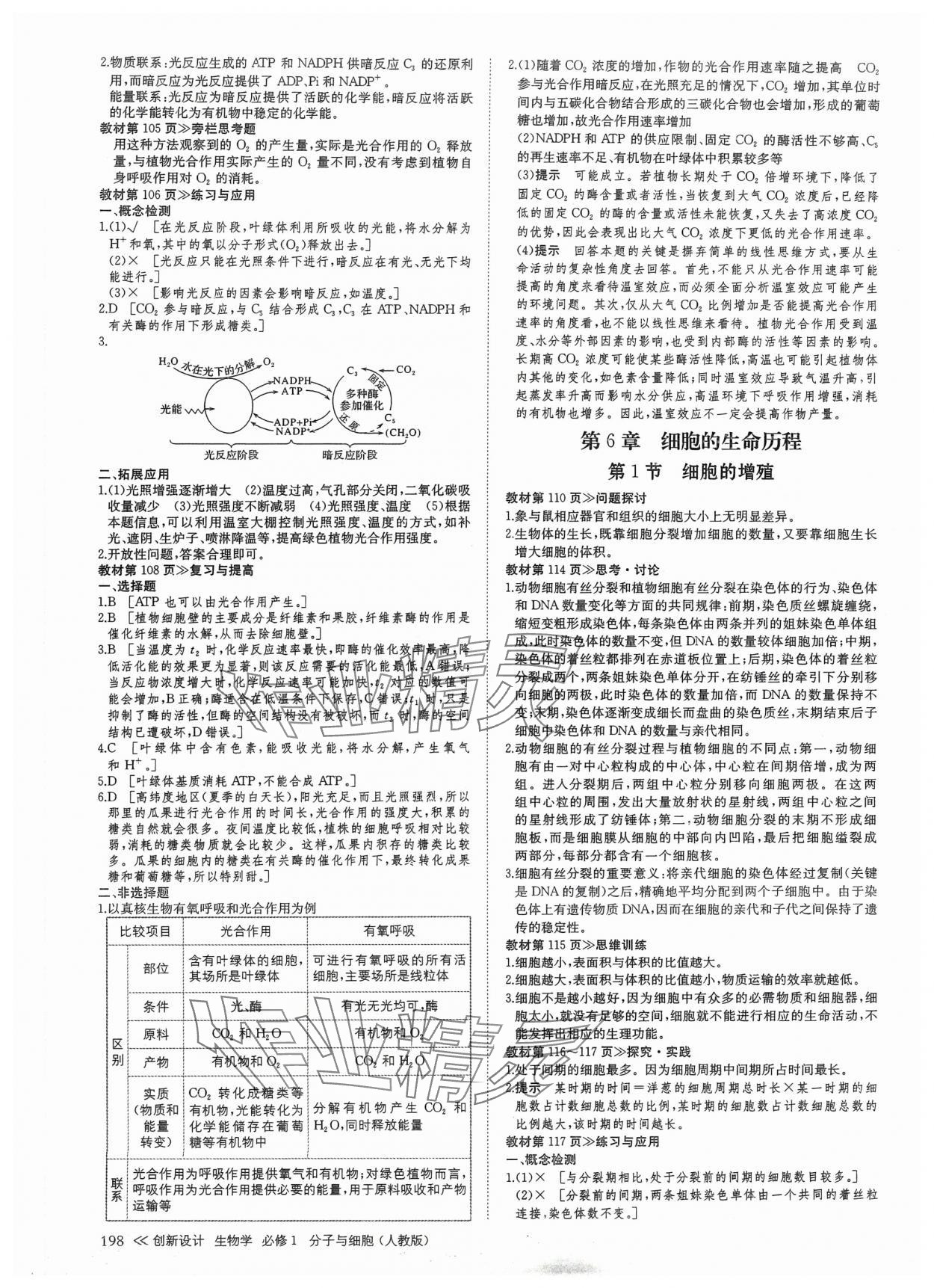 2024年創(chuàng)新設(shè)計(jì)高中生物必修1人教版 參考答案第9頁