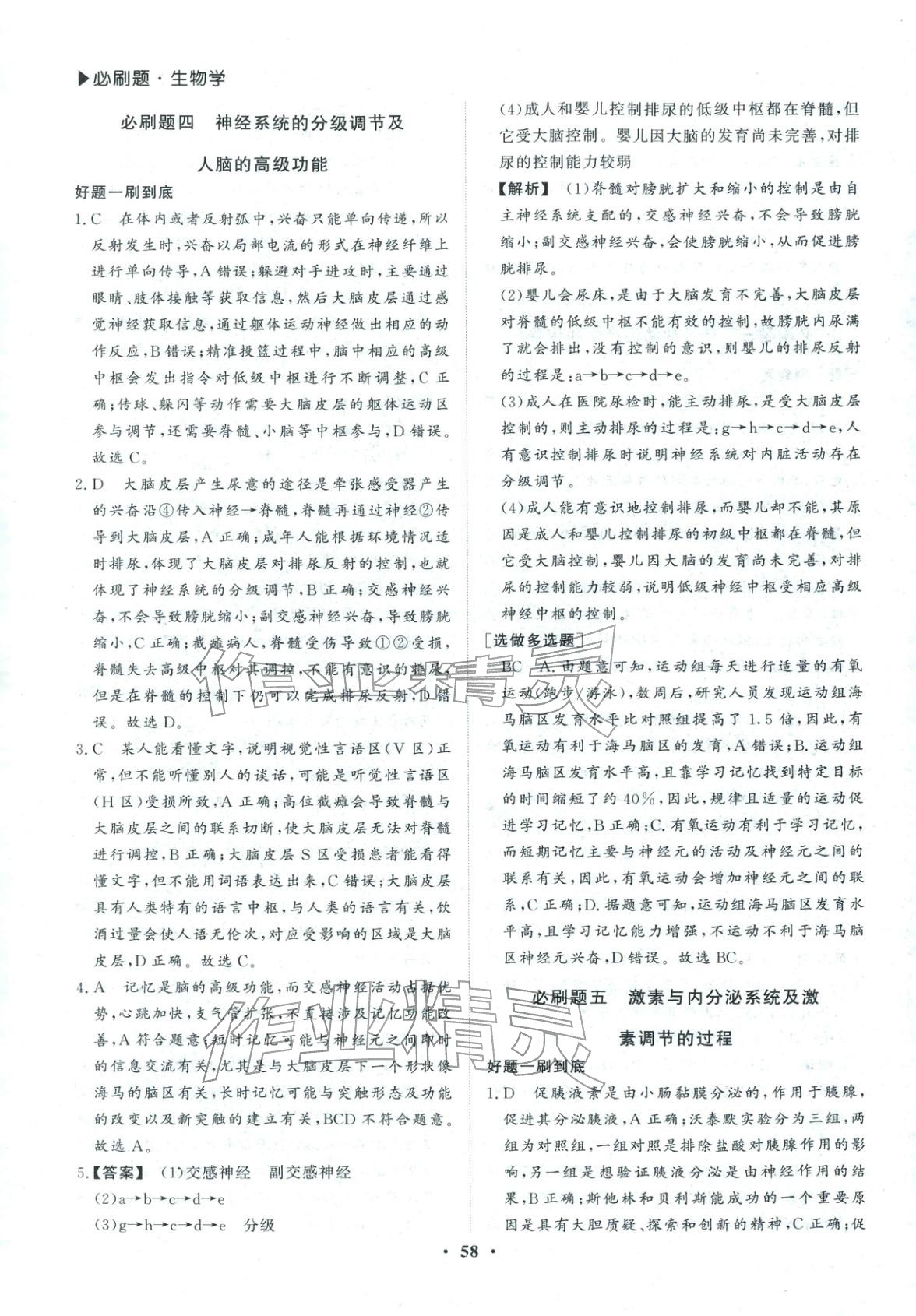 2026年假期必刷題沈陽出版社高二生物&nbsp;第4頁