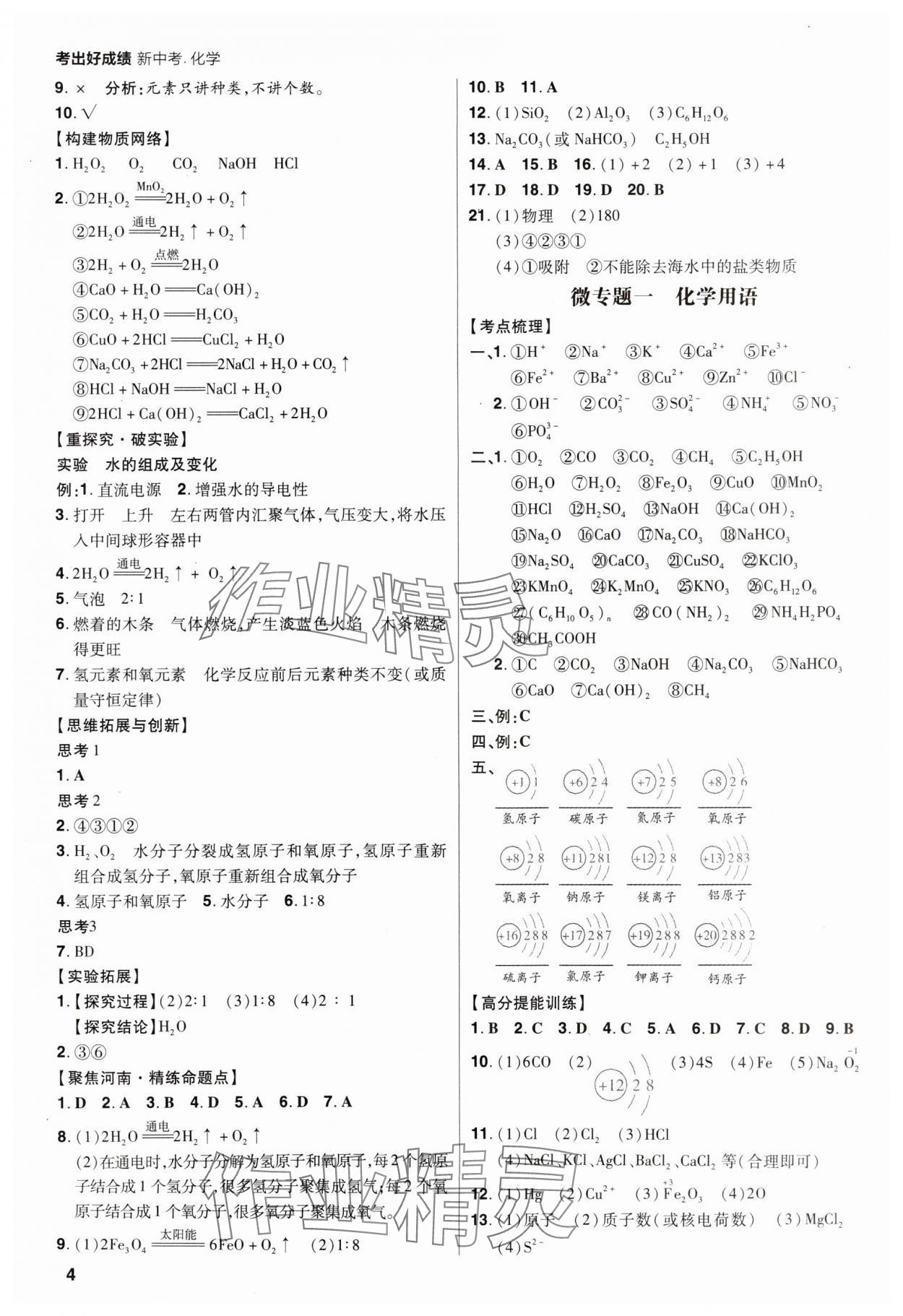 2025年考出好成绩中考总复习化学河南专版 第4页