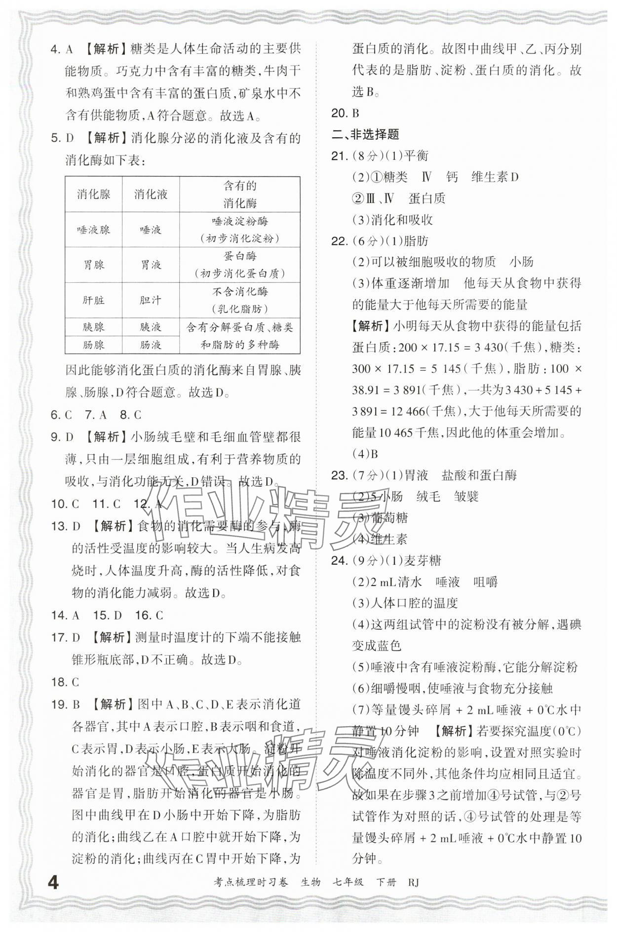 2024年王朝霞考点梳理时习卷七年级生物下册人教版 第4页