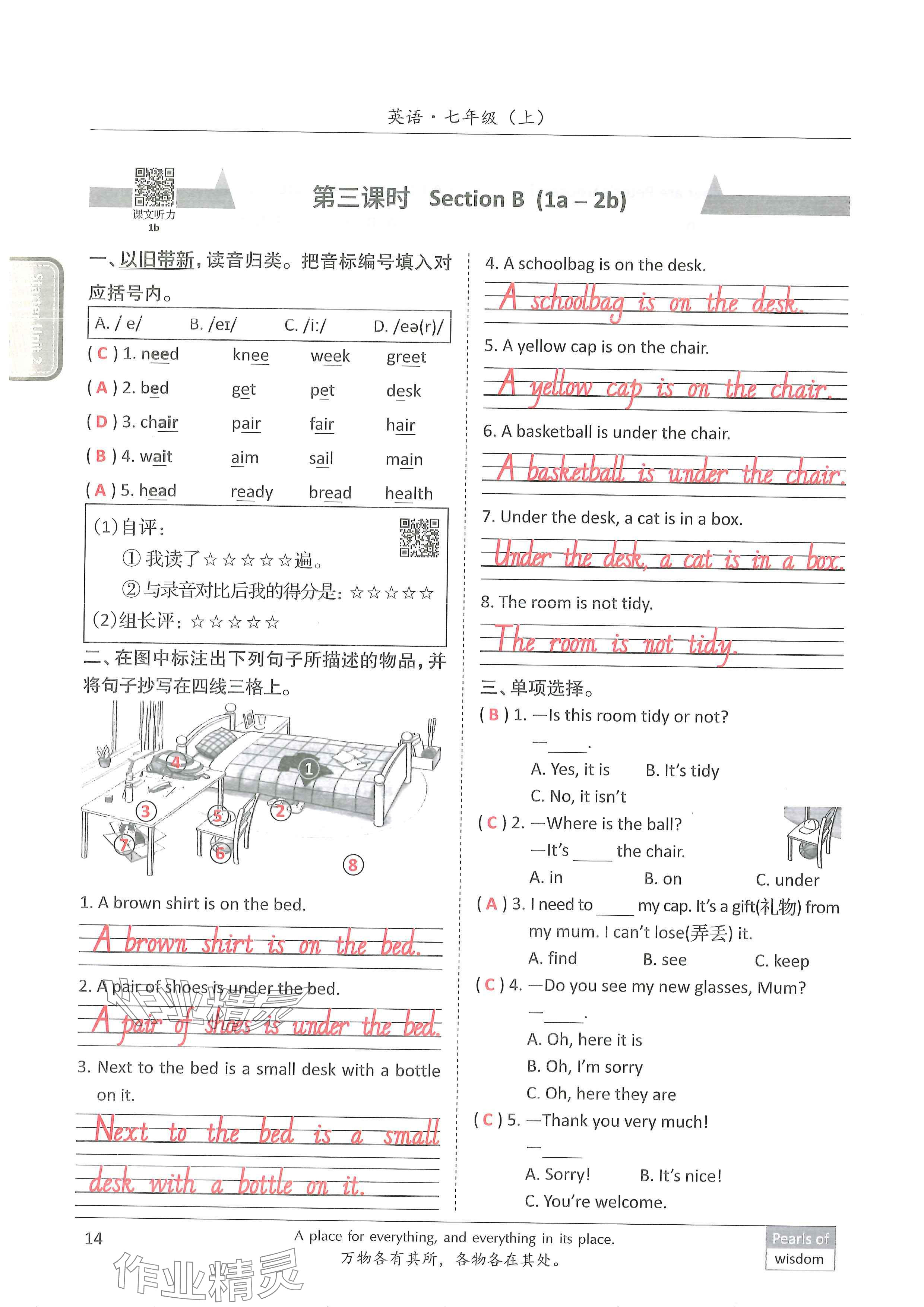 2024年新视界单元复习七年级英语上册人教版&nbsp;参考答案第13页