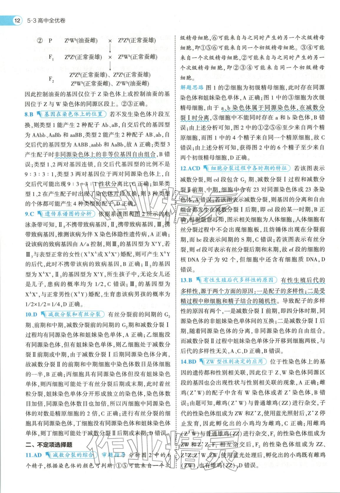 2026年53高中全优卷高中生物必修第二册人教版&nbsp;第12页