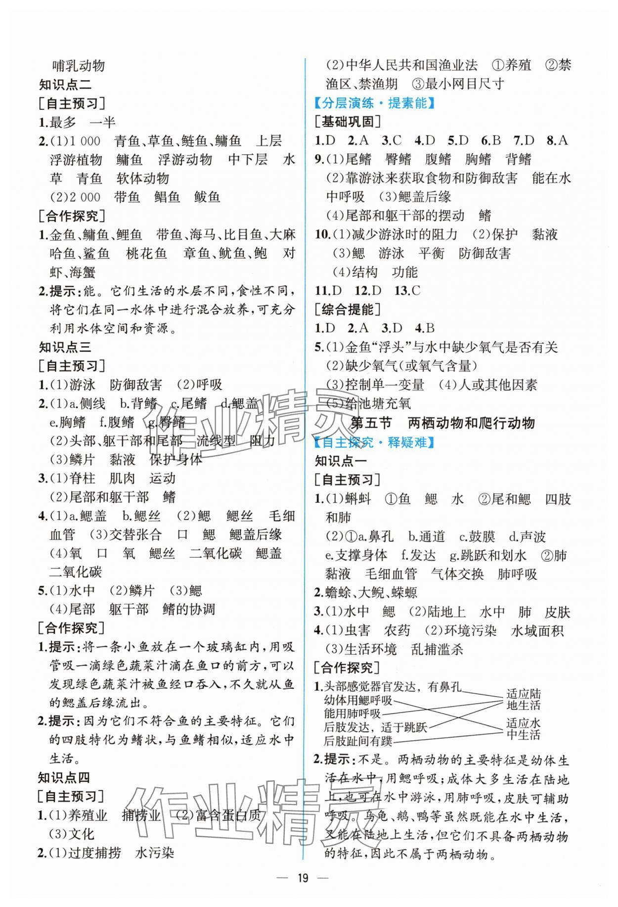 2024年同步导学案课时练八年级生物上册人教版 第3页