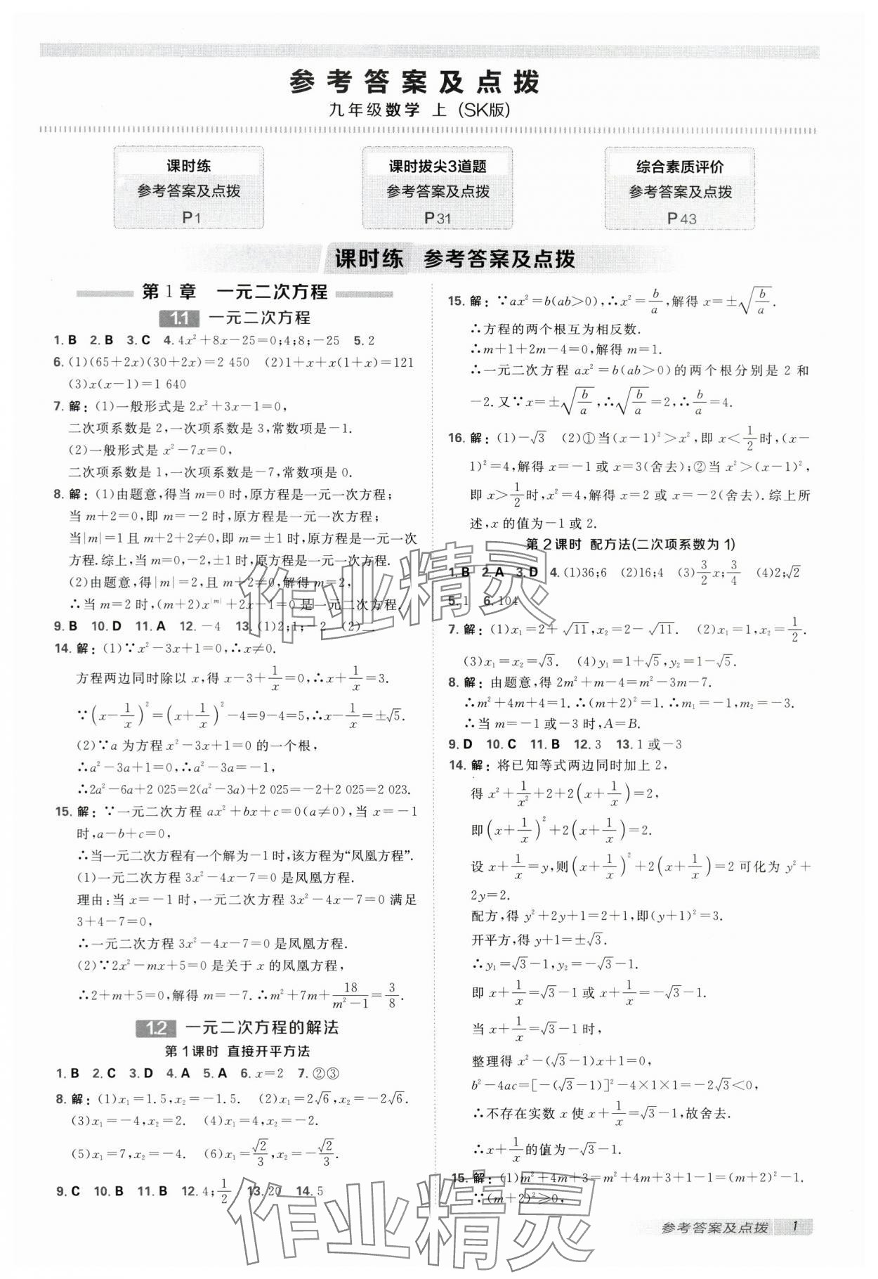 2025年点拨训练九年级数学上册苏科版江苏专版 第1页