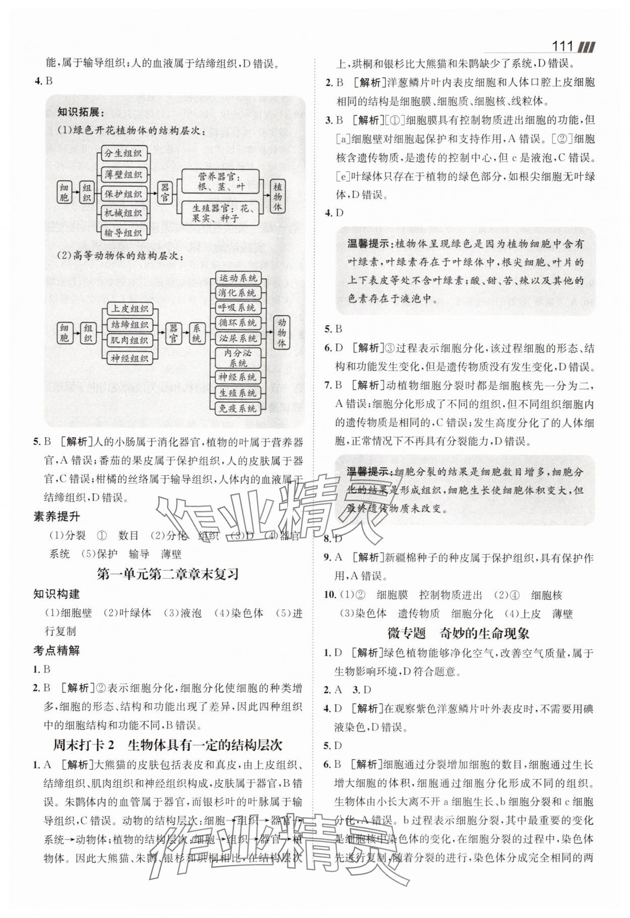 2025年同行學(xué)案七年級生物上冊濟(jì)南版 參考答案第6頁