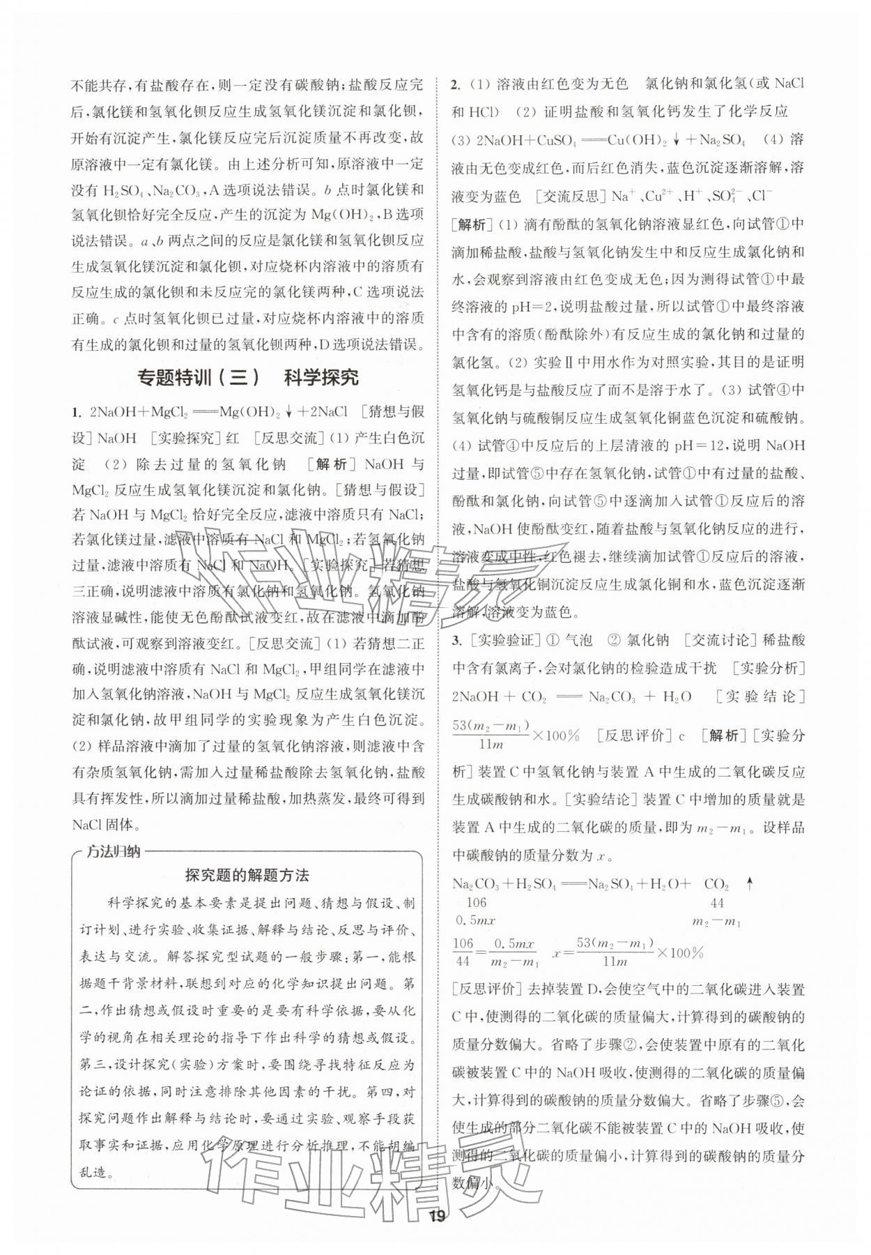 2026年拔尖特训九年级化学下册鲁教版&nbsp;第19页