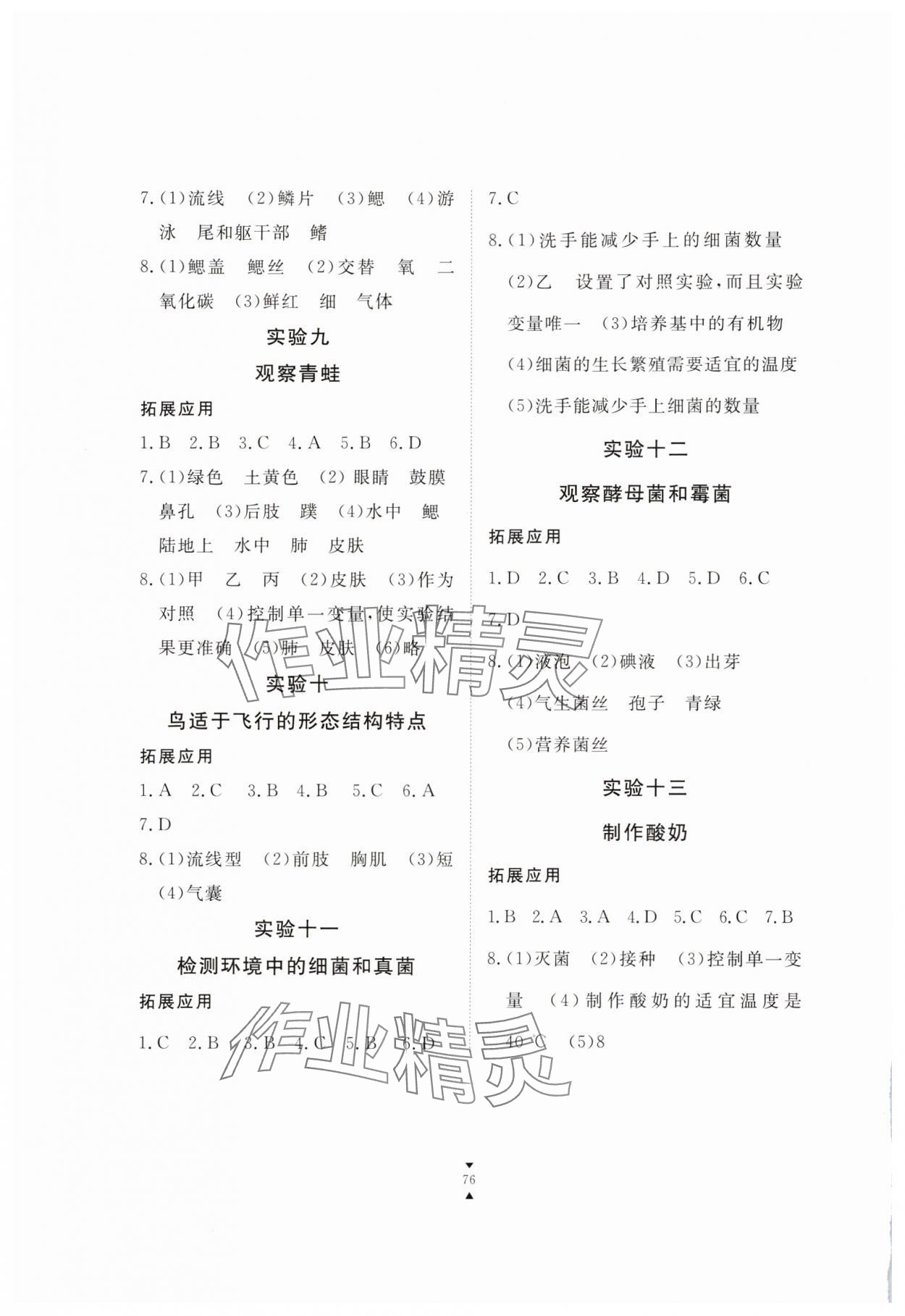 2024年实验报告册江西教育出版社七年级生物上册人教版 第2页