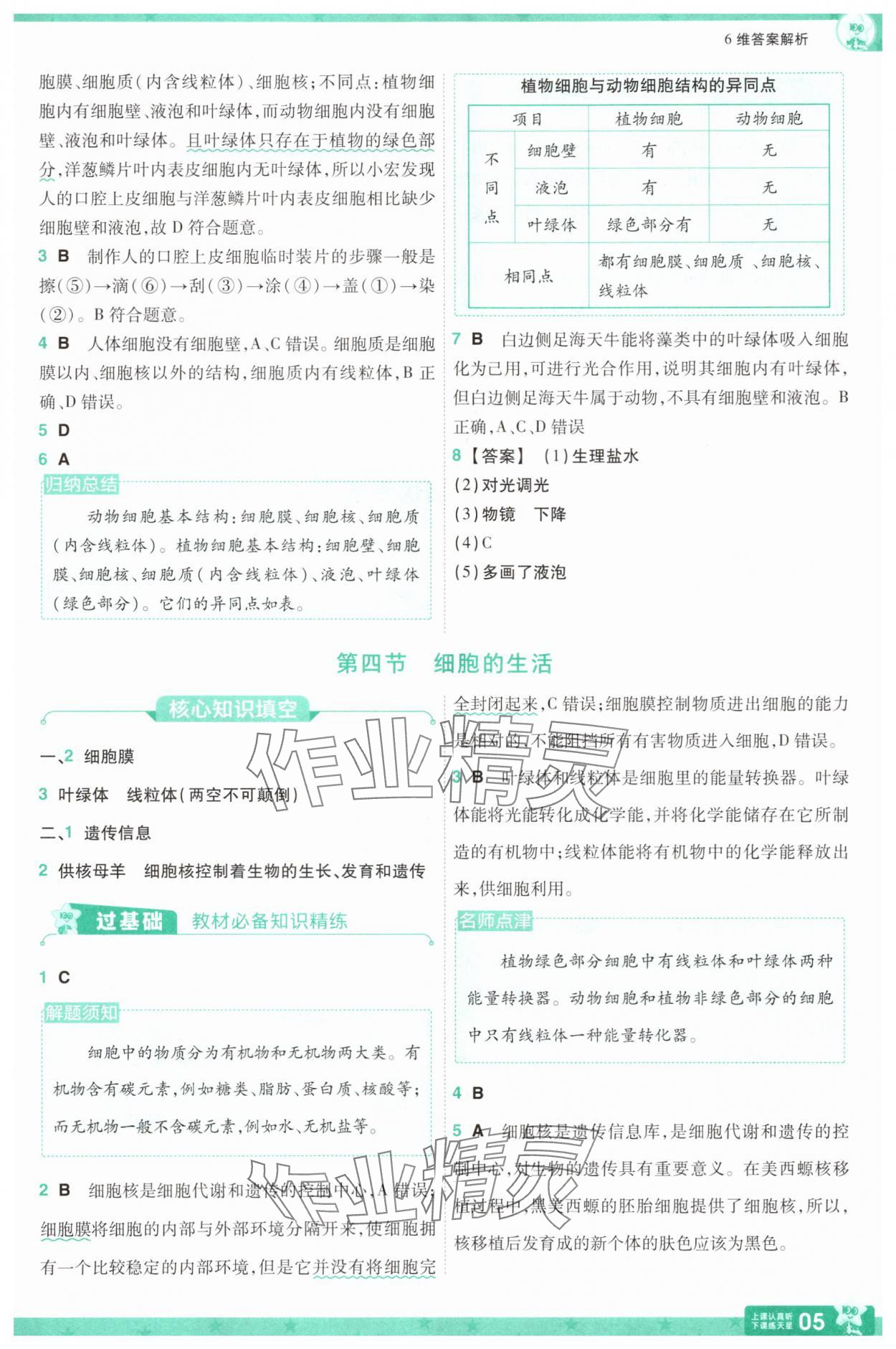 2025年一遍过七年级生物上册人教版 参考答案第5页