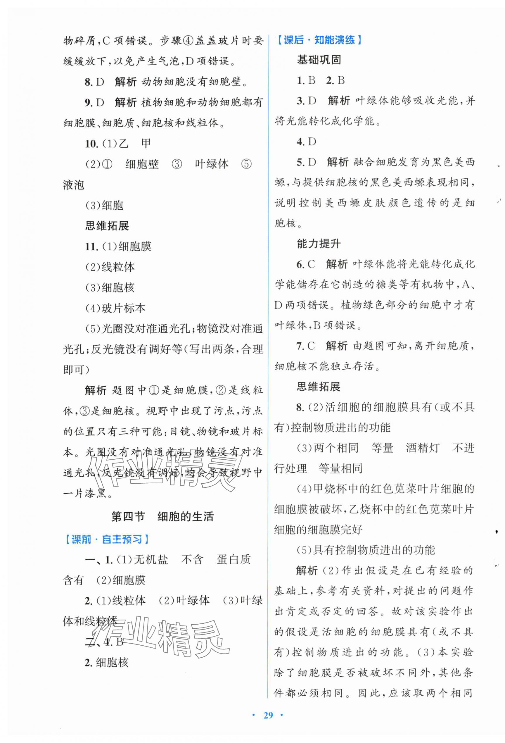 2025年同步测控优化设计七年级生物上册人教版福建专版 第5页