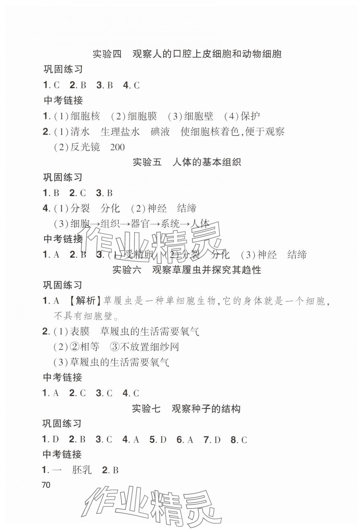 2025年学生实验报告册中国地图出版社七年级生物上册人教版 第2页