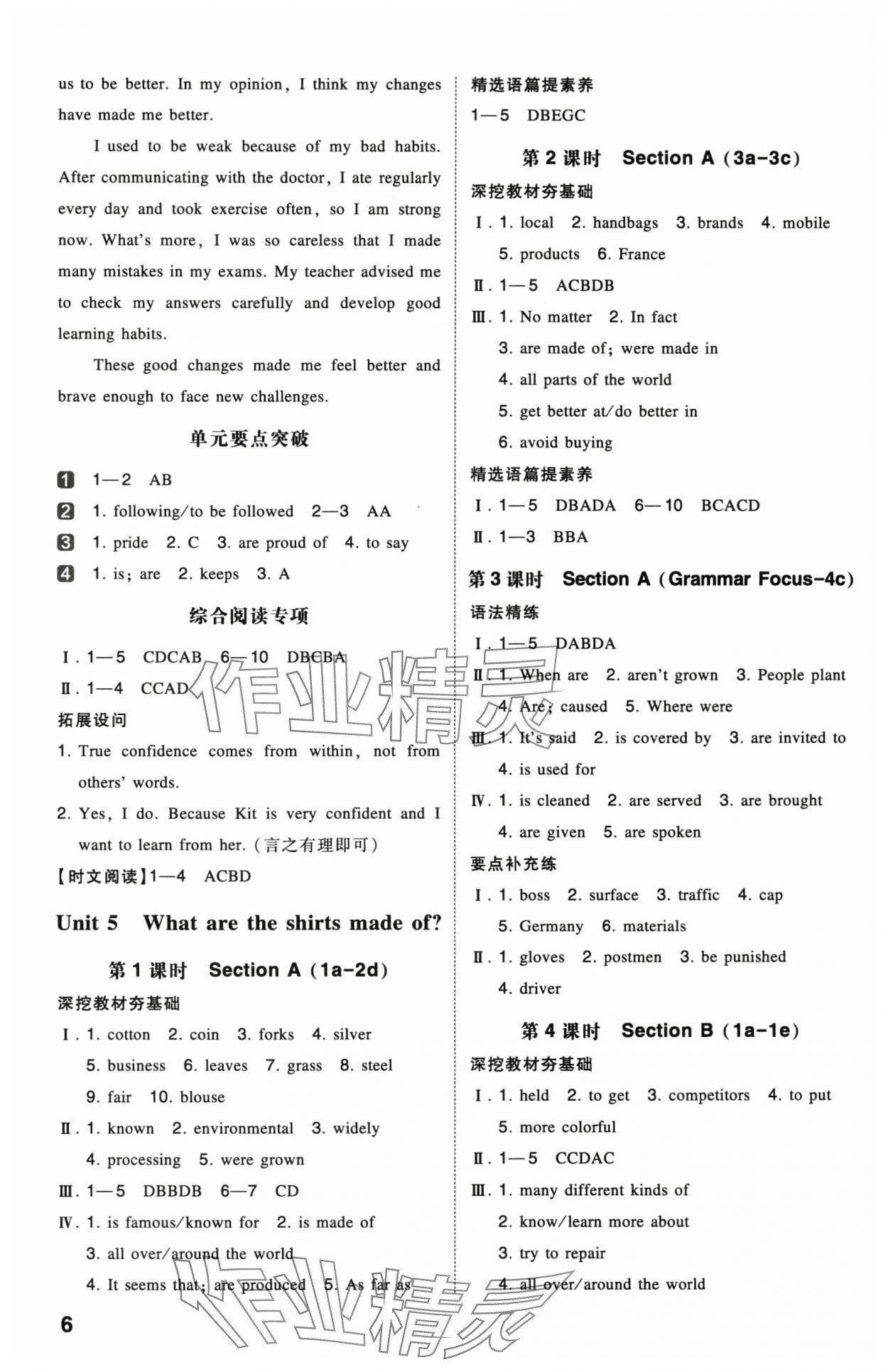 2025年一本同步訓(xùn)練九年級英語上冊人教版安徽專版 第6頁