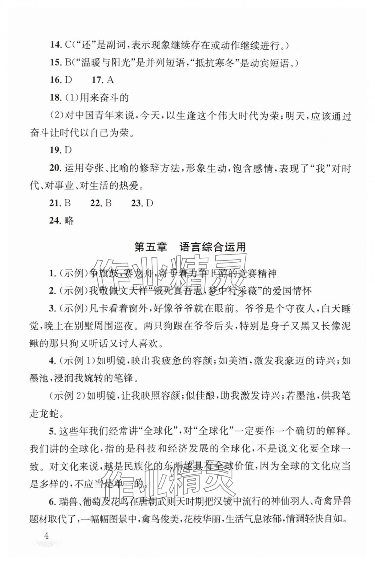 2025年剑指中考九年级语文湖南专版 第4页