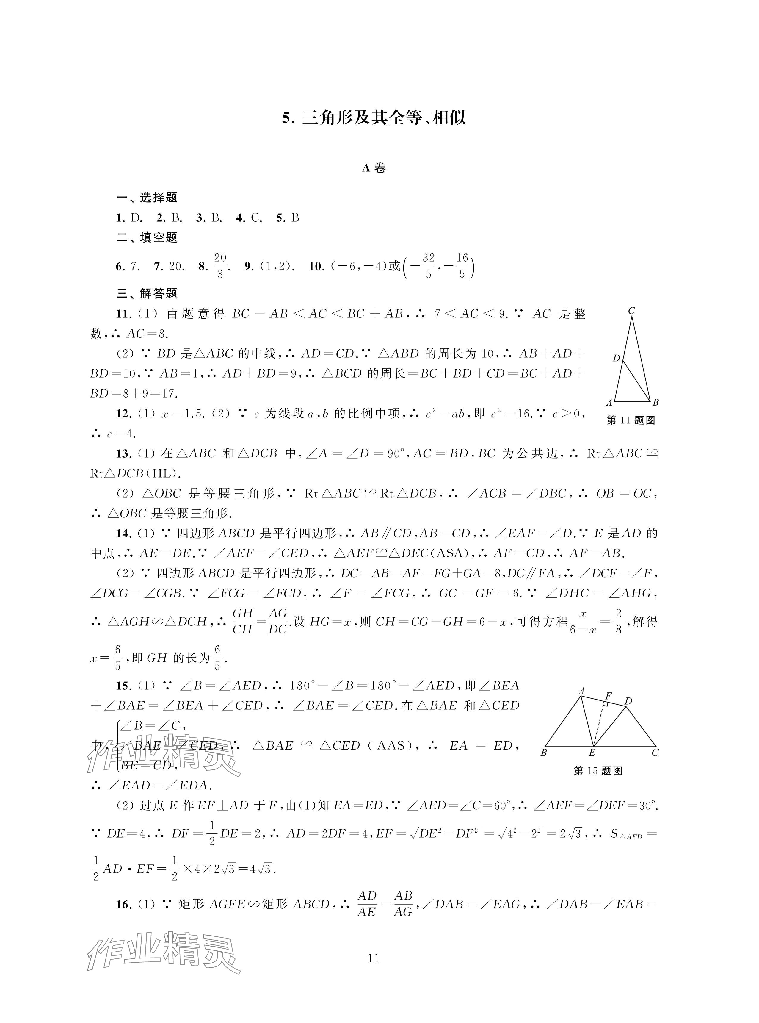 2024年中考檢測(cè)單元與模擬數(shù)學(xué) 參考答案第11頁