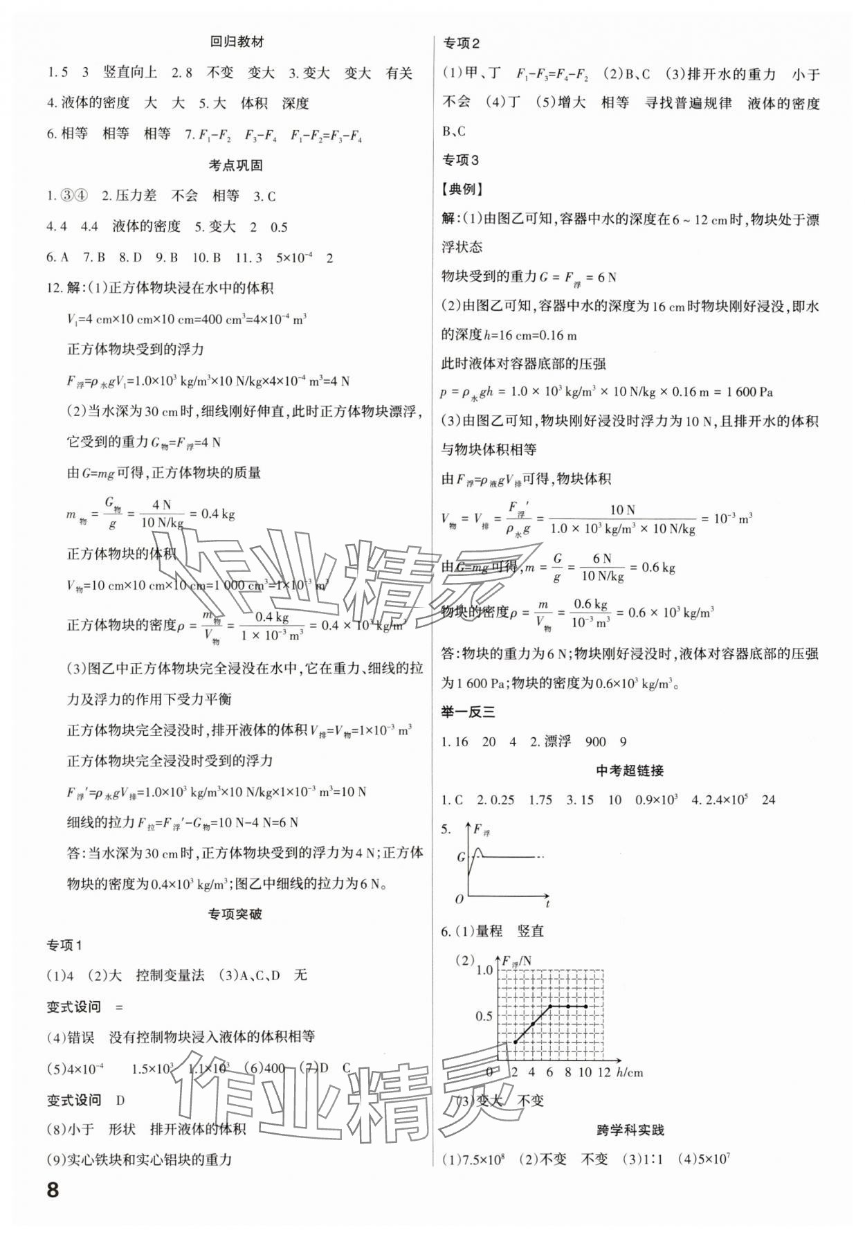 2025年滾動(dòng)遷移中考總復(fù)習(xí)物理廣東專(zhuān)版 第8頁(yè)