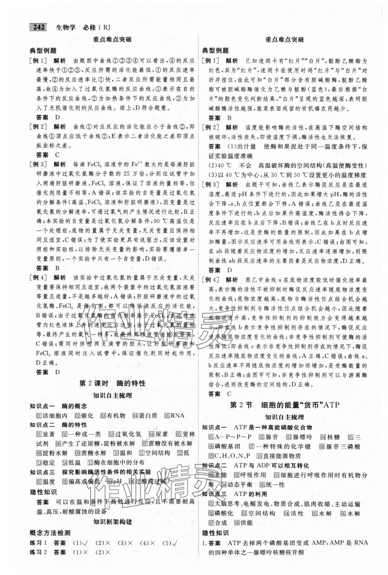 2024年金版教程高中新课程创新导学案高中生物必修1人教版 参考答案第10页