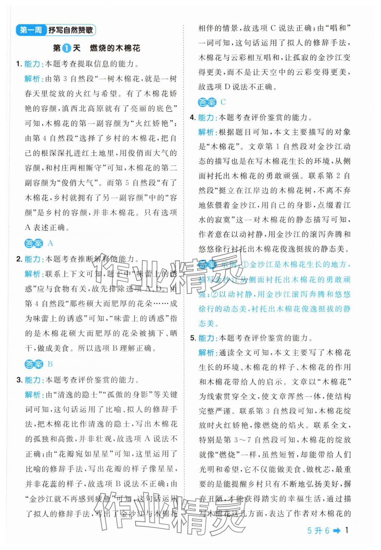 2025年陽光同學暑假閱讀5升6語文 第1頁