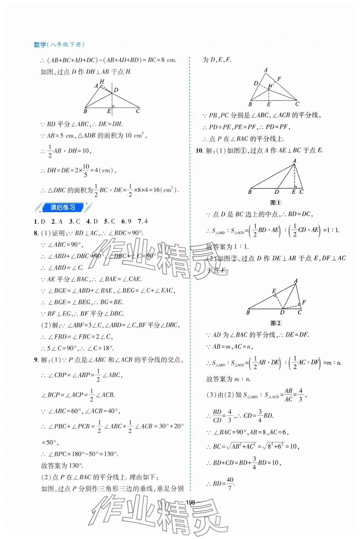 2025年新課堂學習與探究八年級數學下冊北師大版 參考答案第11頁