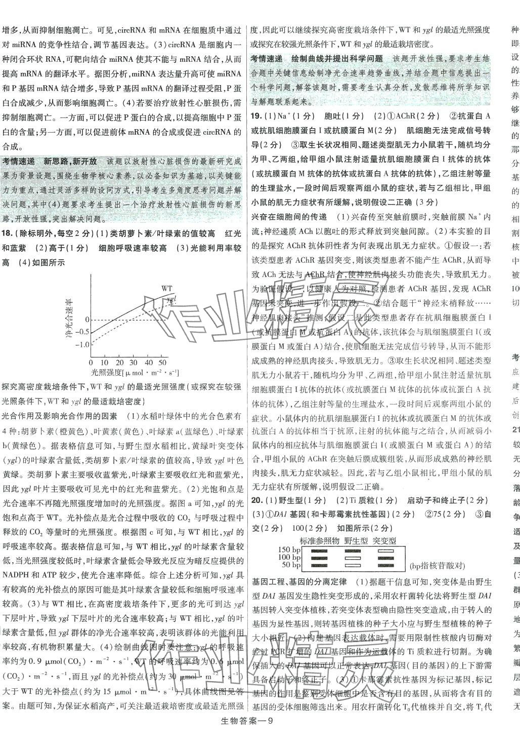 2024年走進(jìn)名校5年高考真題匯編高中生物 第9頁