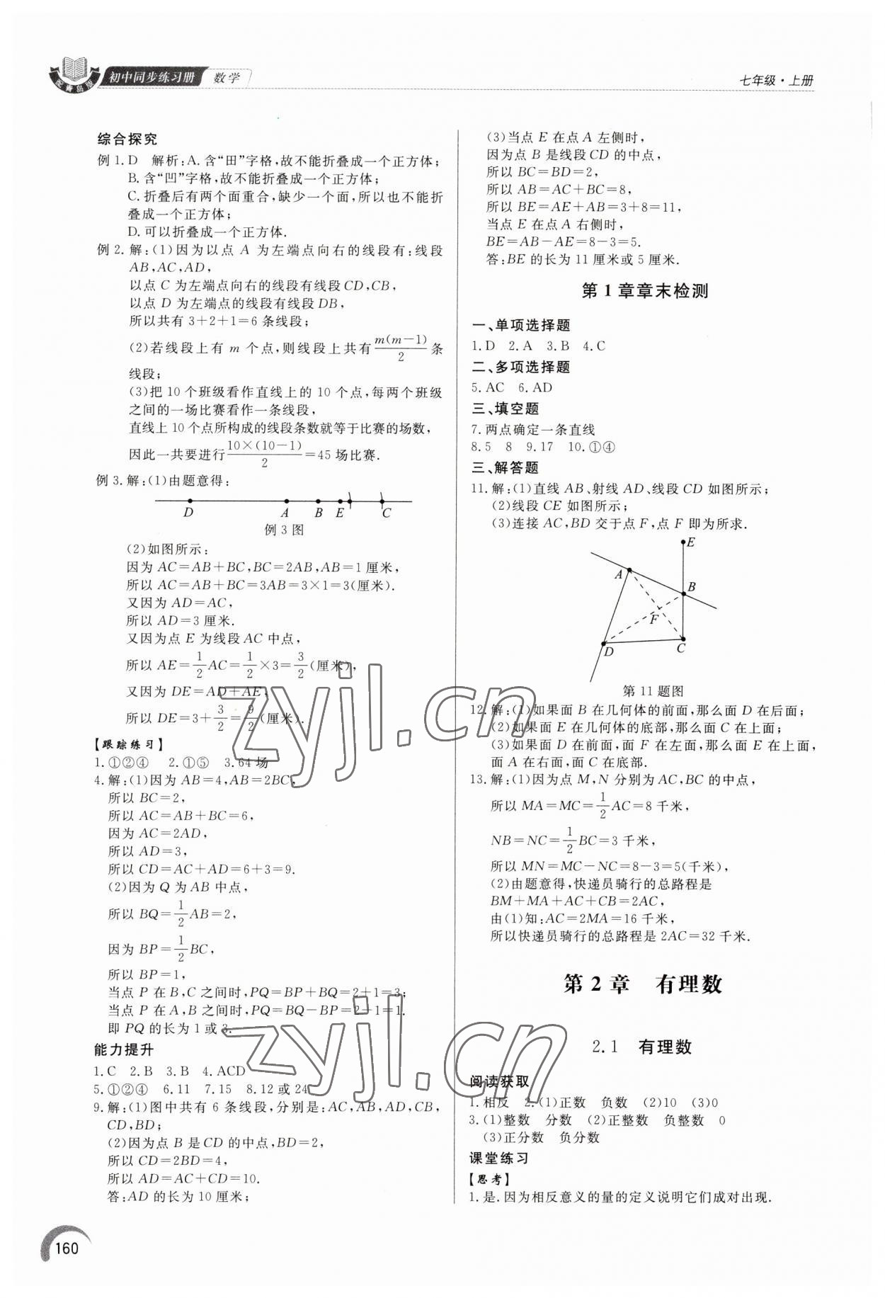 2023年同步練習(xí)冊(cè)泰山出版社七年級(jí)數(shù)學(xué)上冊(cè)青島版 參考答案第5頁