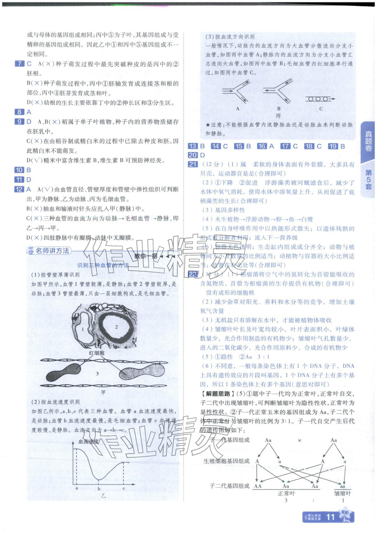 2026年金考卷中考试题汇编45套生物山东专版 第11页