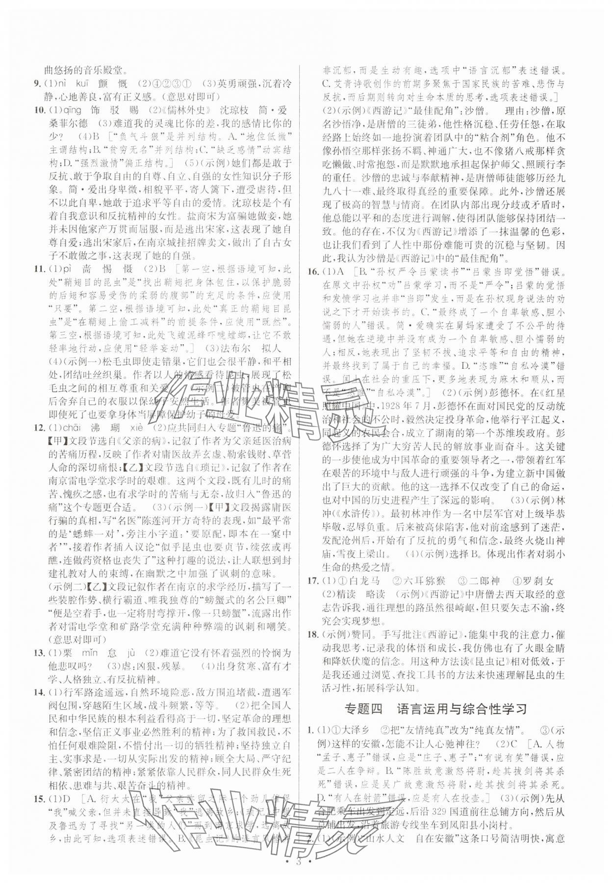 2025年初中毕业班系统总复习语文 第3页