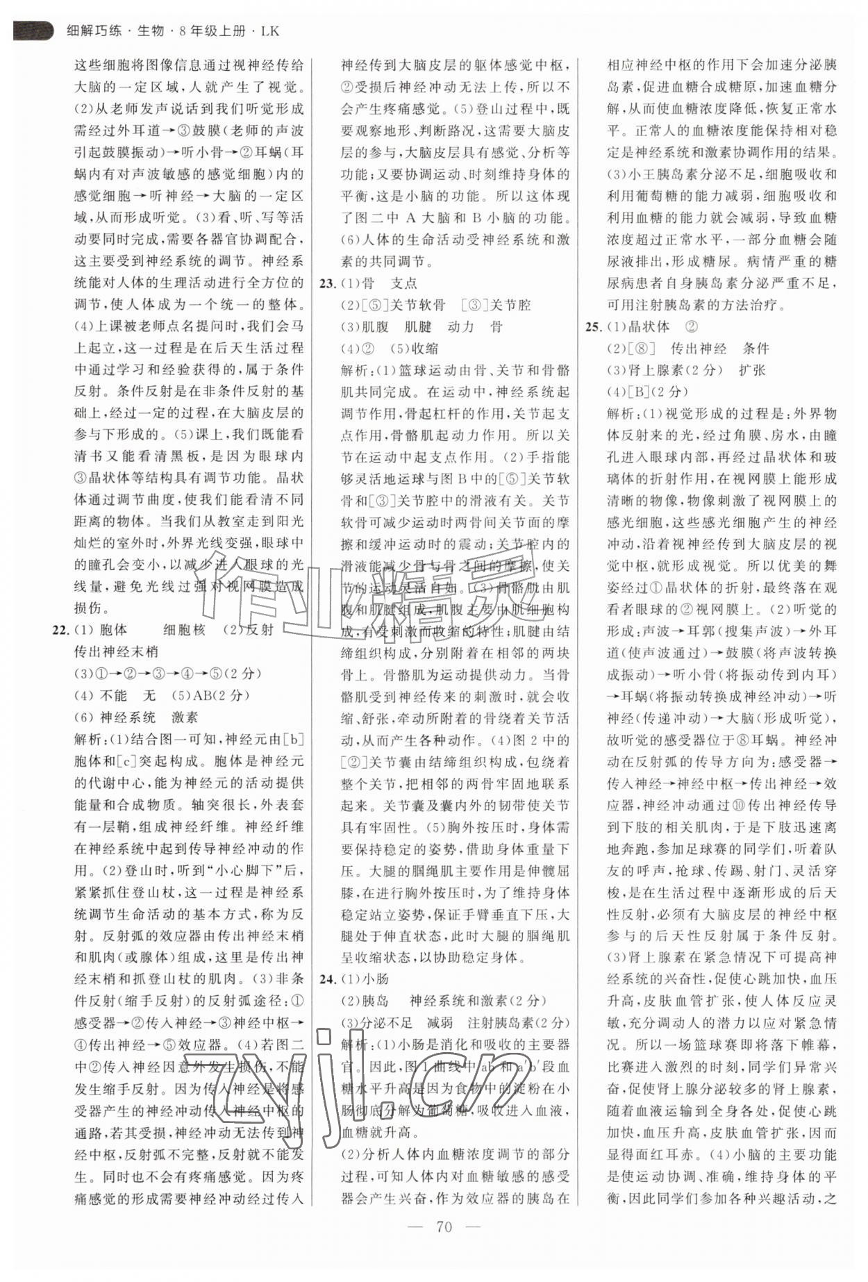 2026年细解巧练八年级生物上册鲁科版五四制&nbsp;参考答案第2页