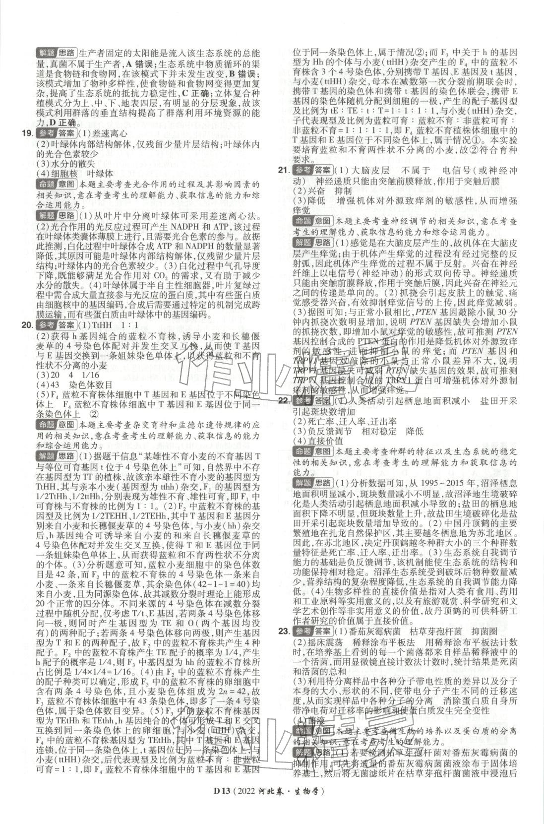 2026年新高考5年真题生物河北专版 第13页