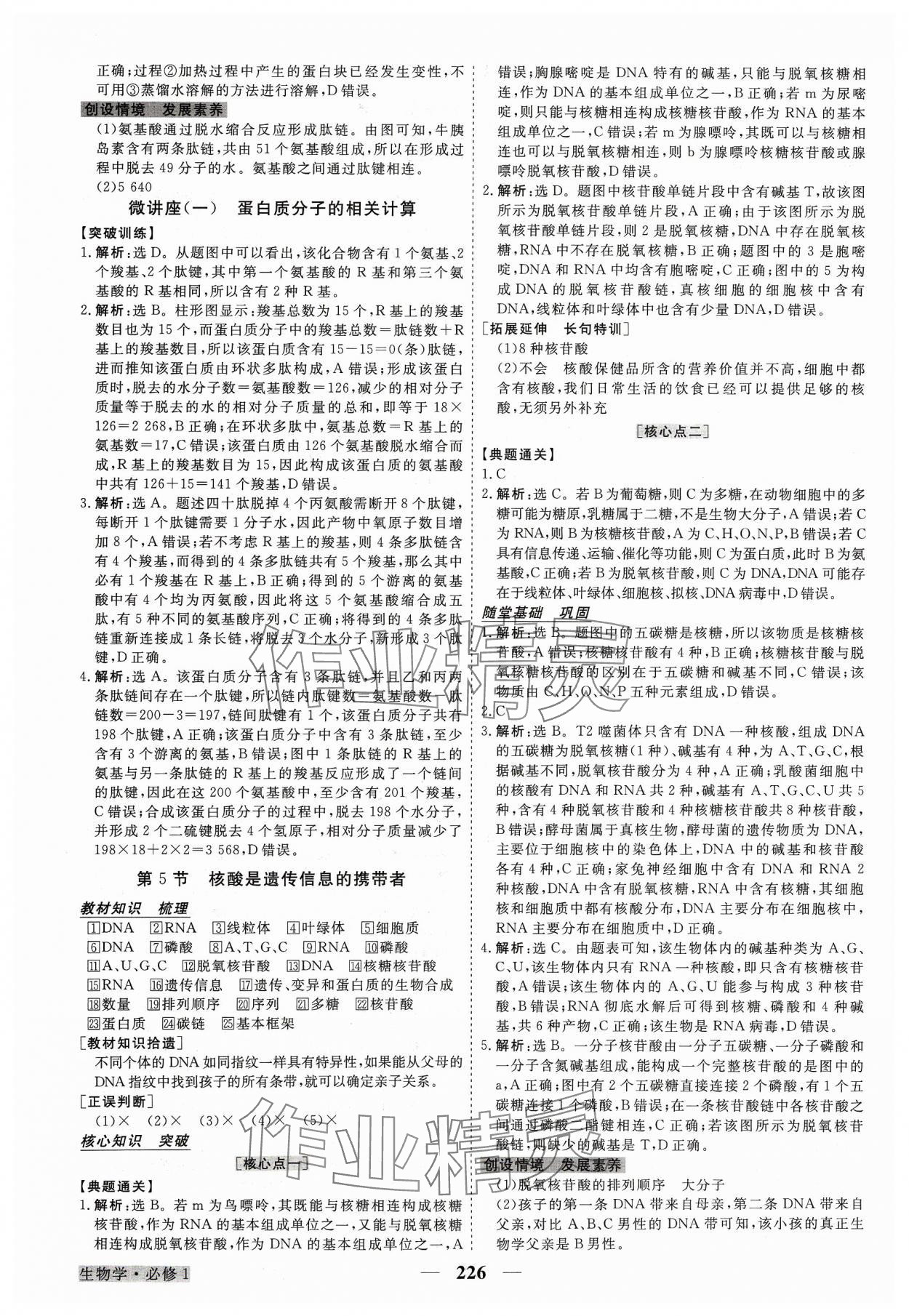 2023年高中同步創(chuàng)新課堂優(yōu)化方案高中生物必修1人教版 參考答案第5頁