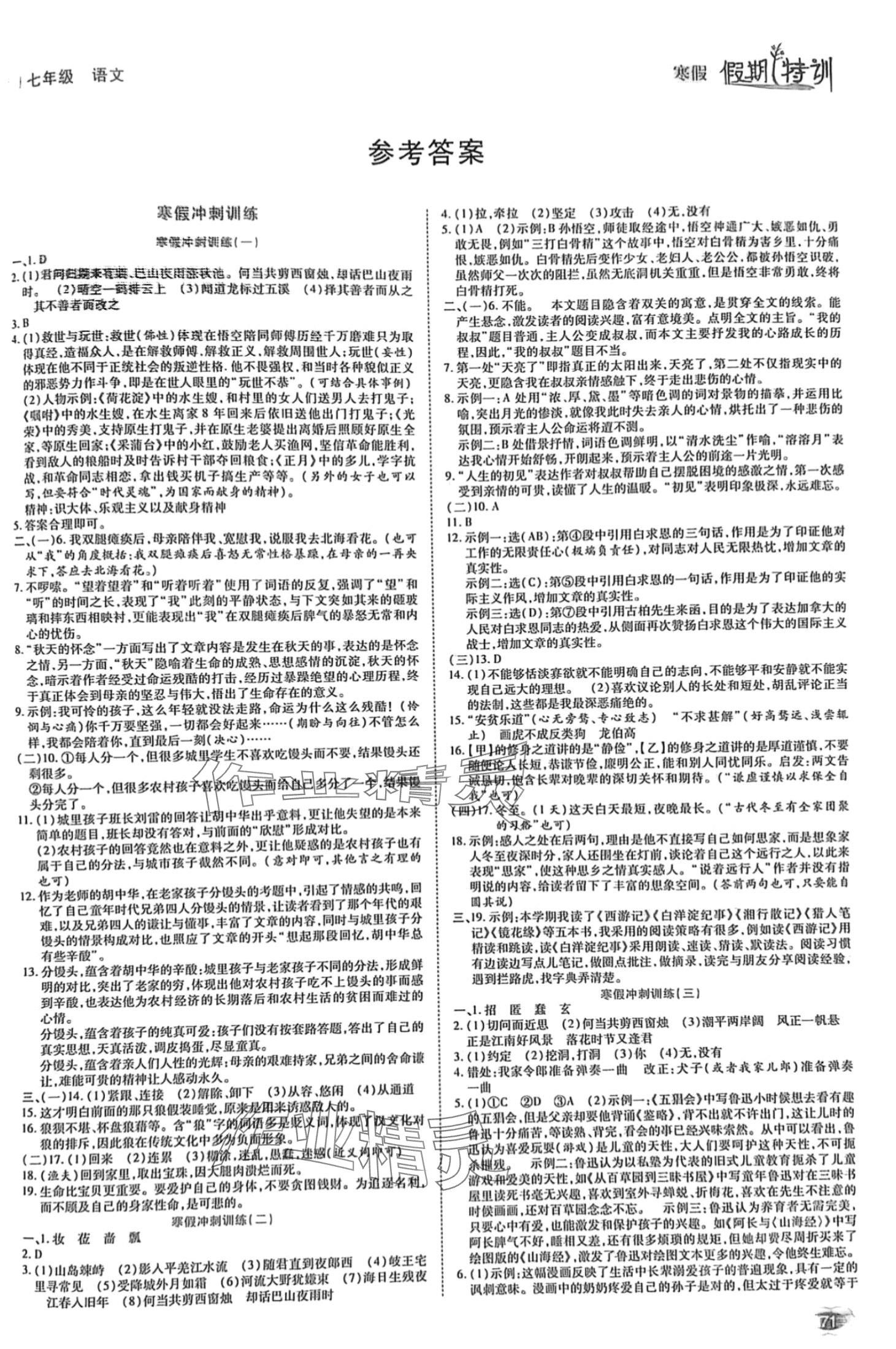 2024年假期特訓(xùn)學(xué)期總復(fù)習(xí)七年級(jí)語(yǔ)文 第1頁(yè)