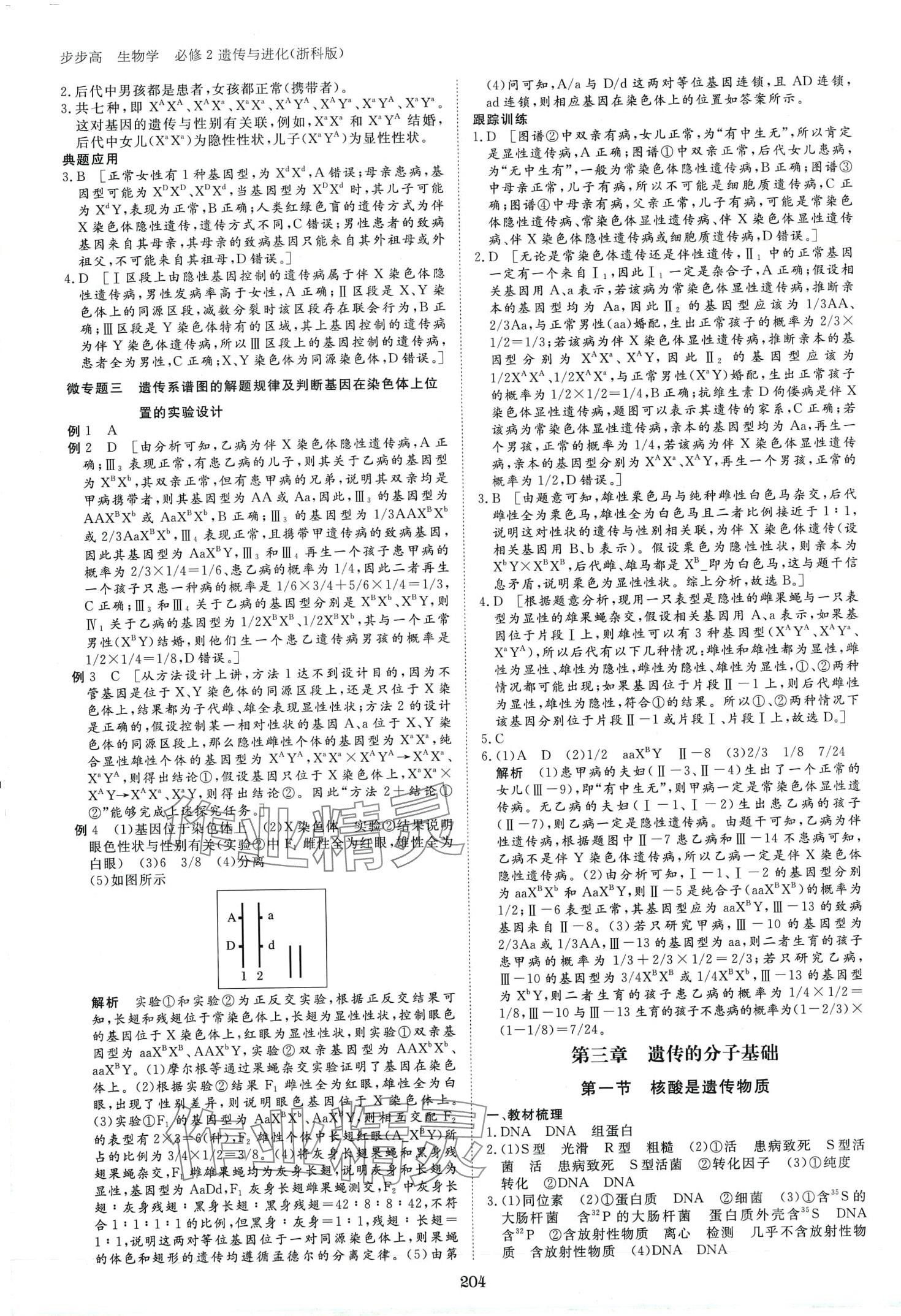 2024年步步高學(xué)習(xí)筆記高中生物必修2浙科版 第7頁