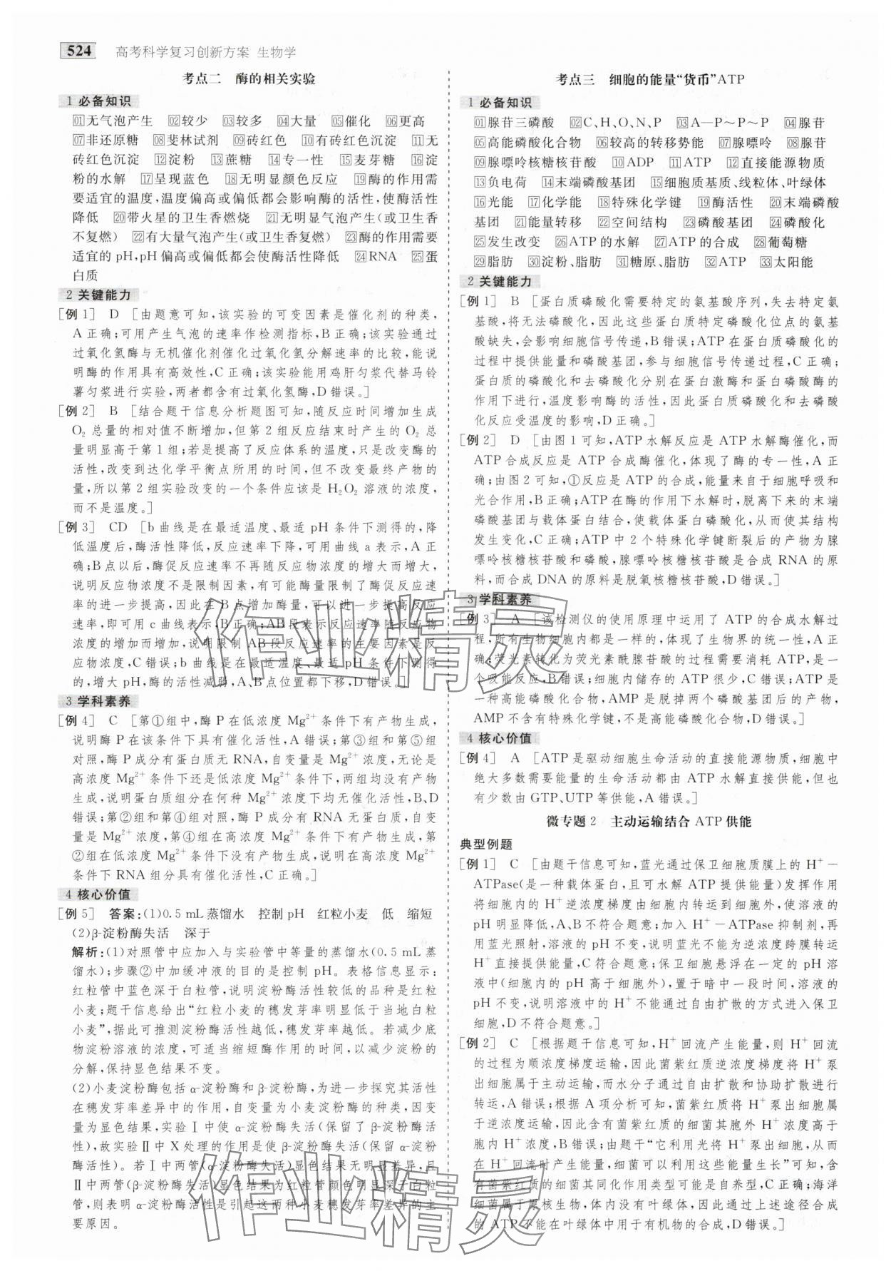 2025年金版教程高考科學(xué)復(fù)習(xí)解決方案生物創(chuàng)新版 第10頁