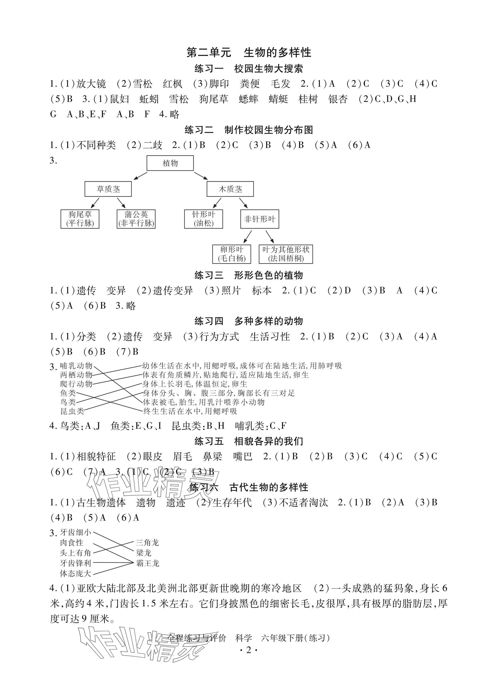 2025年全程练习与评价六年级科学下册教科版练习版 参考答案第2页