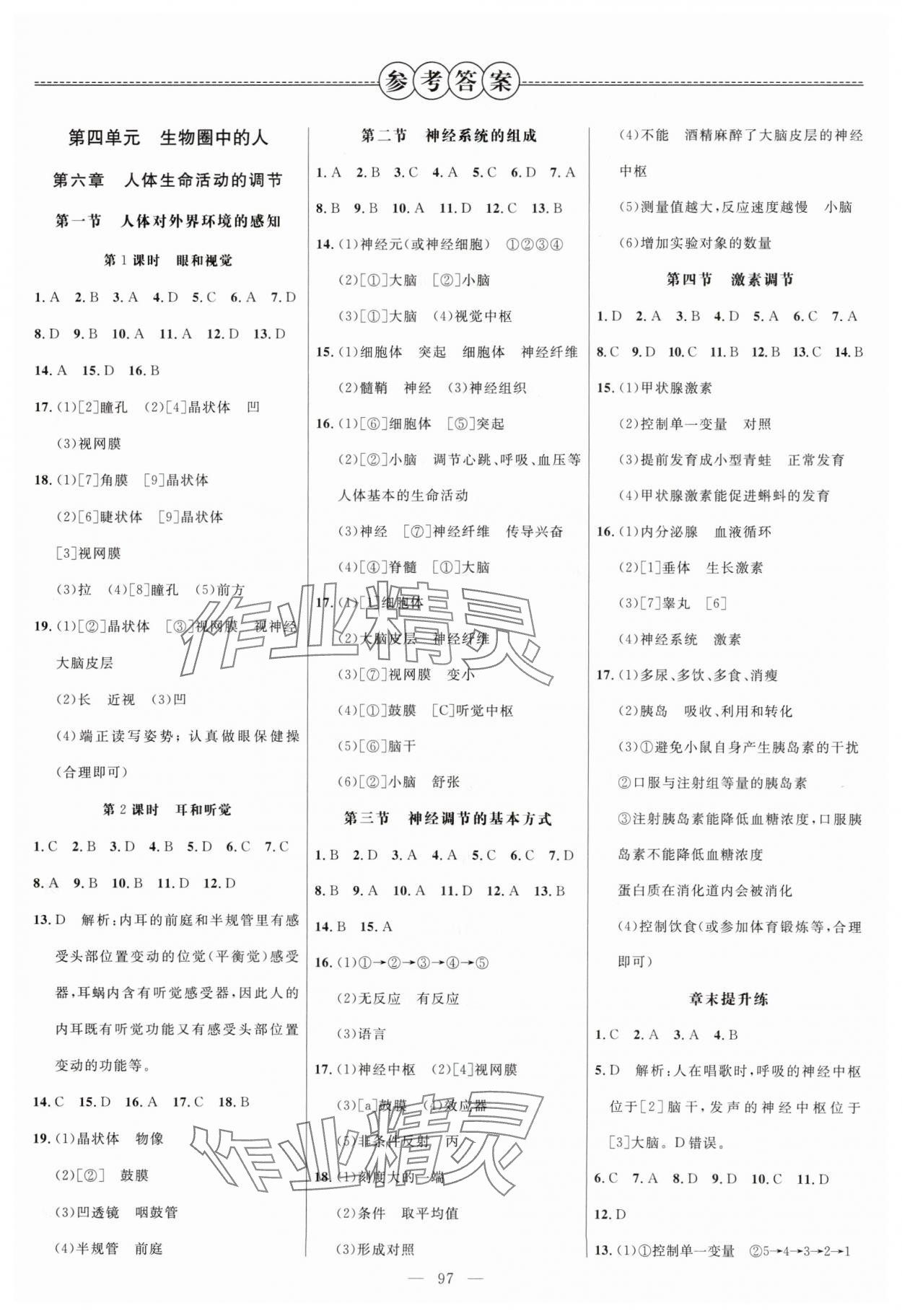 2024年細解巧練七年級生物下冊魯科版54制 參考答案第1頁