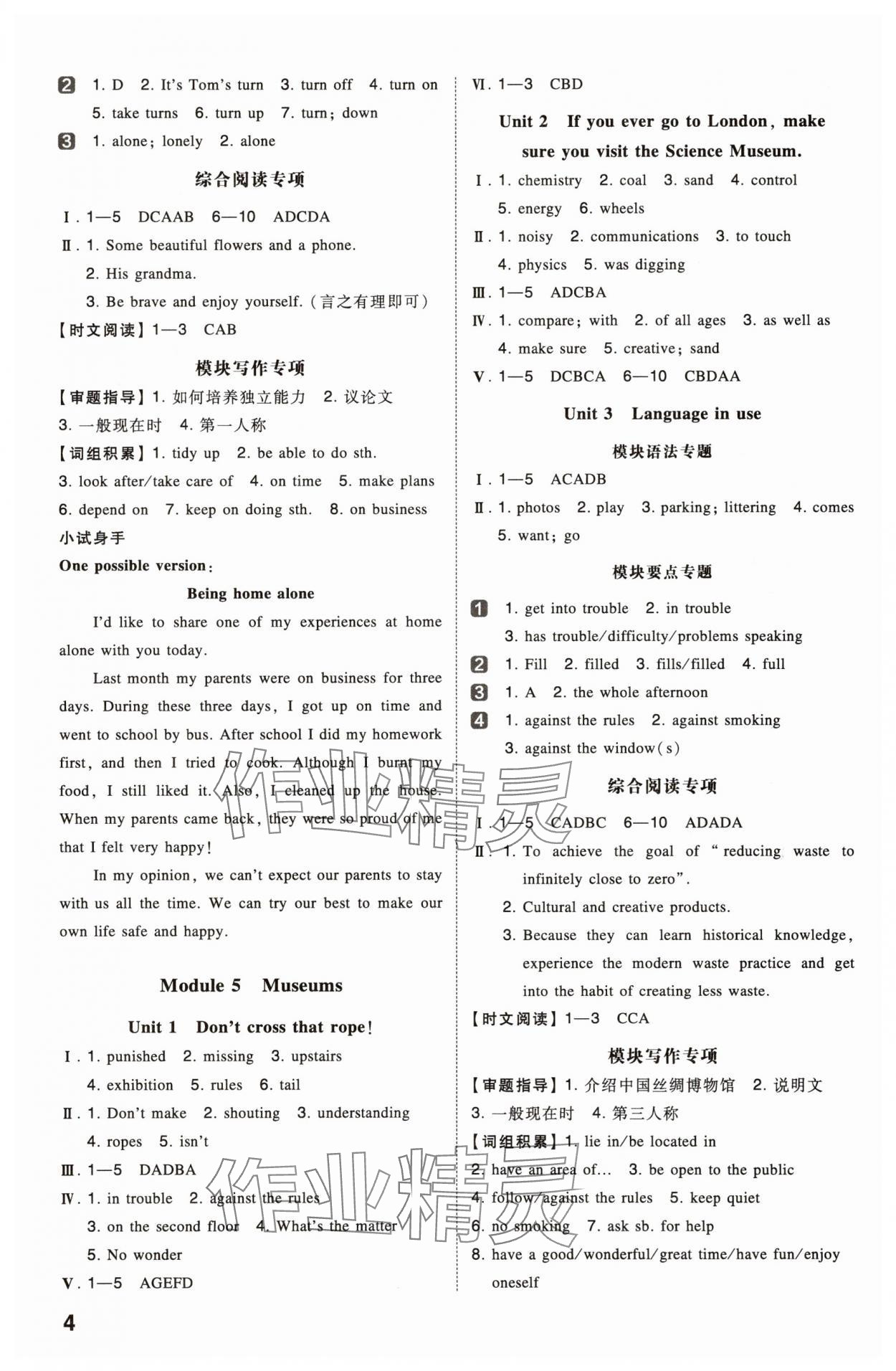 2025年一本同步訓(xùn)練九年級初中英語上冊外研版 第4頁