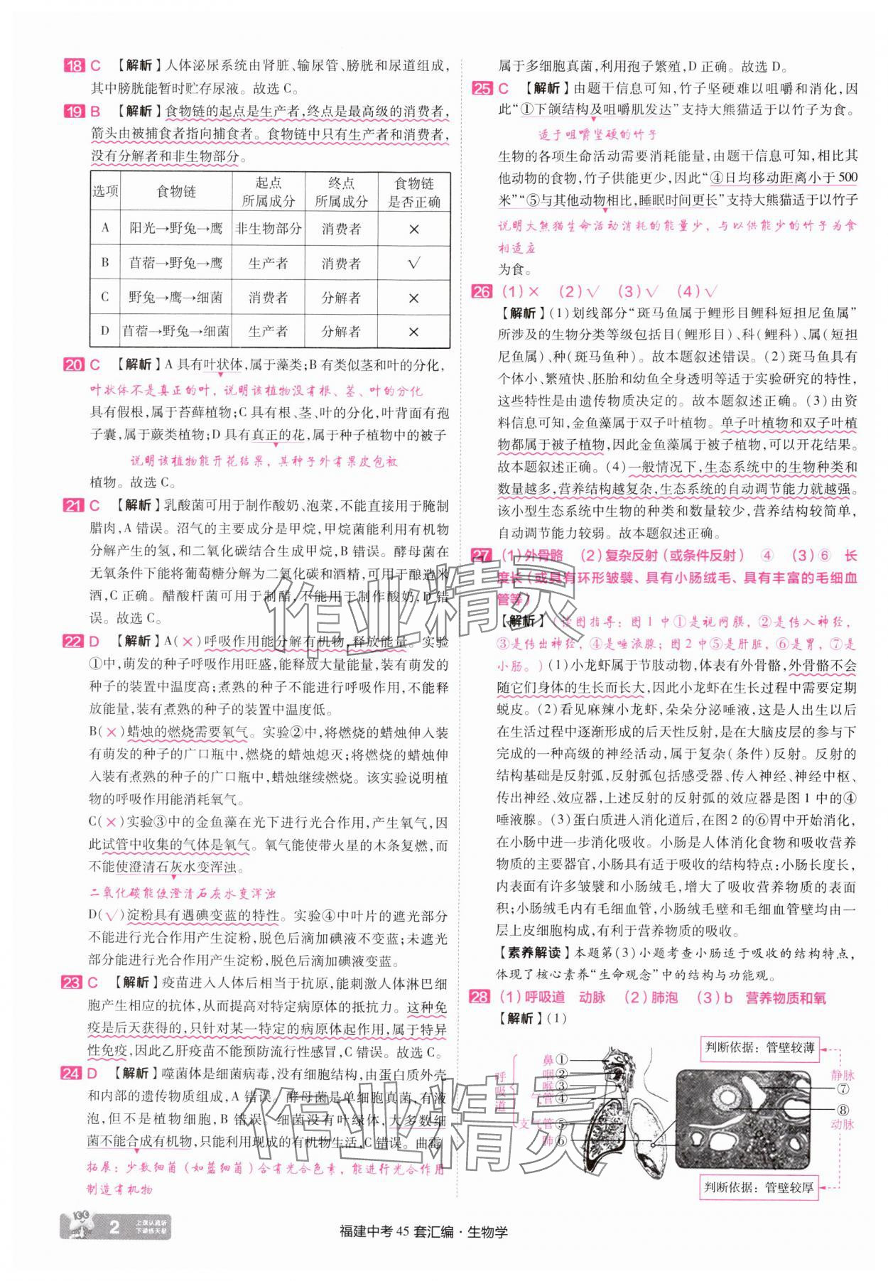 2025年金考卷福建中考45套匯編八年級生物 參考答案第2頁