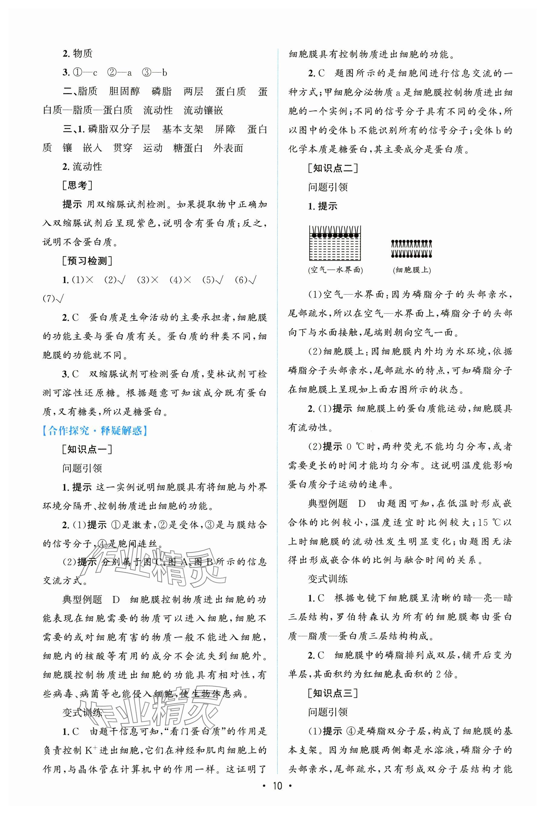 2024年高中同步測(cè)控優(yōu)化設(shè)計(jì)（分子與細(xì)胞）高中生物必修1全冊(cè)人教版 參考答案第9頁