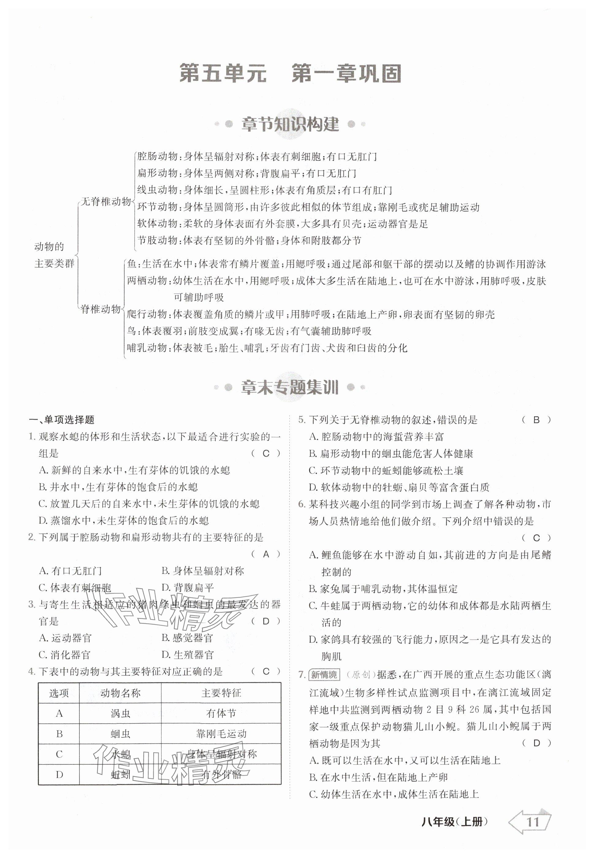 2024年金牌學練測八年級生物上冊人教版 參考答案第11頁